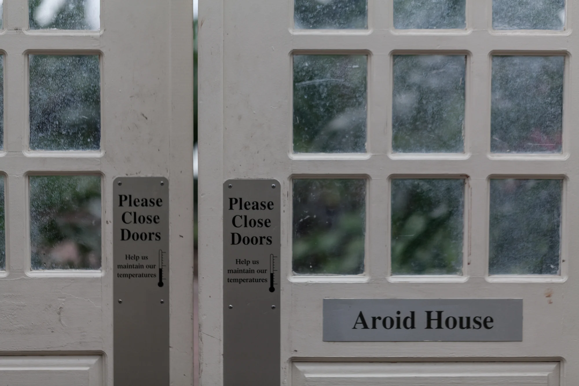 Aroid-House-Garfield-Park-Conservatory.jpg