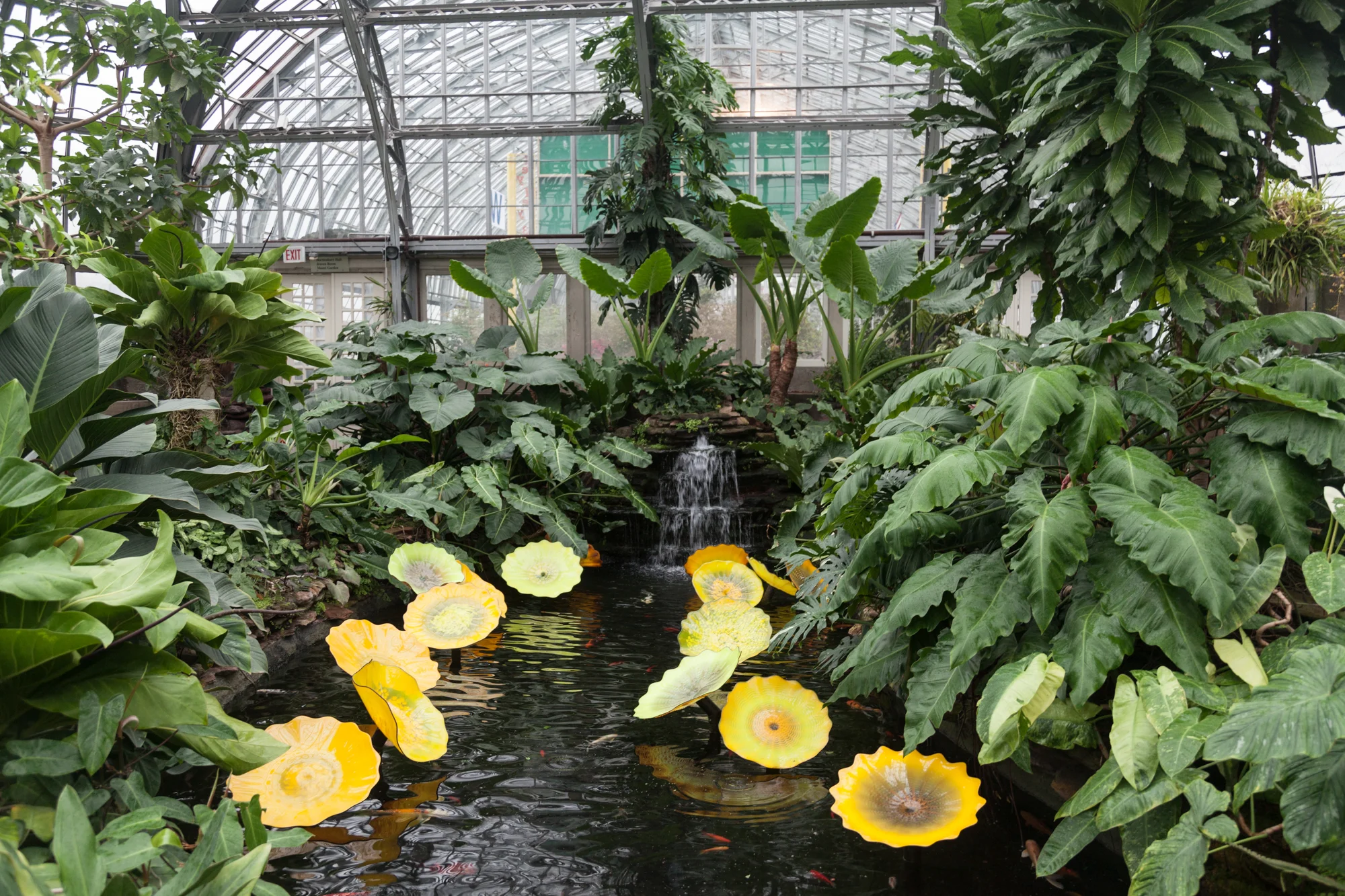 Aroid-House-Garfield-Park-Conservatory.jpg