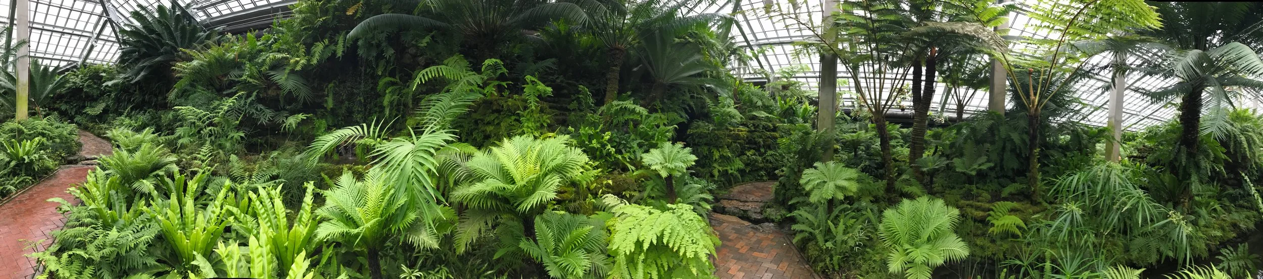 Fern-Room-Panaorama-Homestead-Brooklyn.jpg