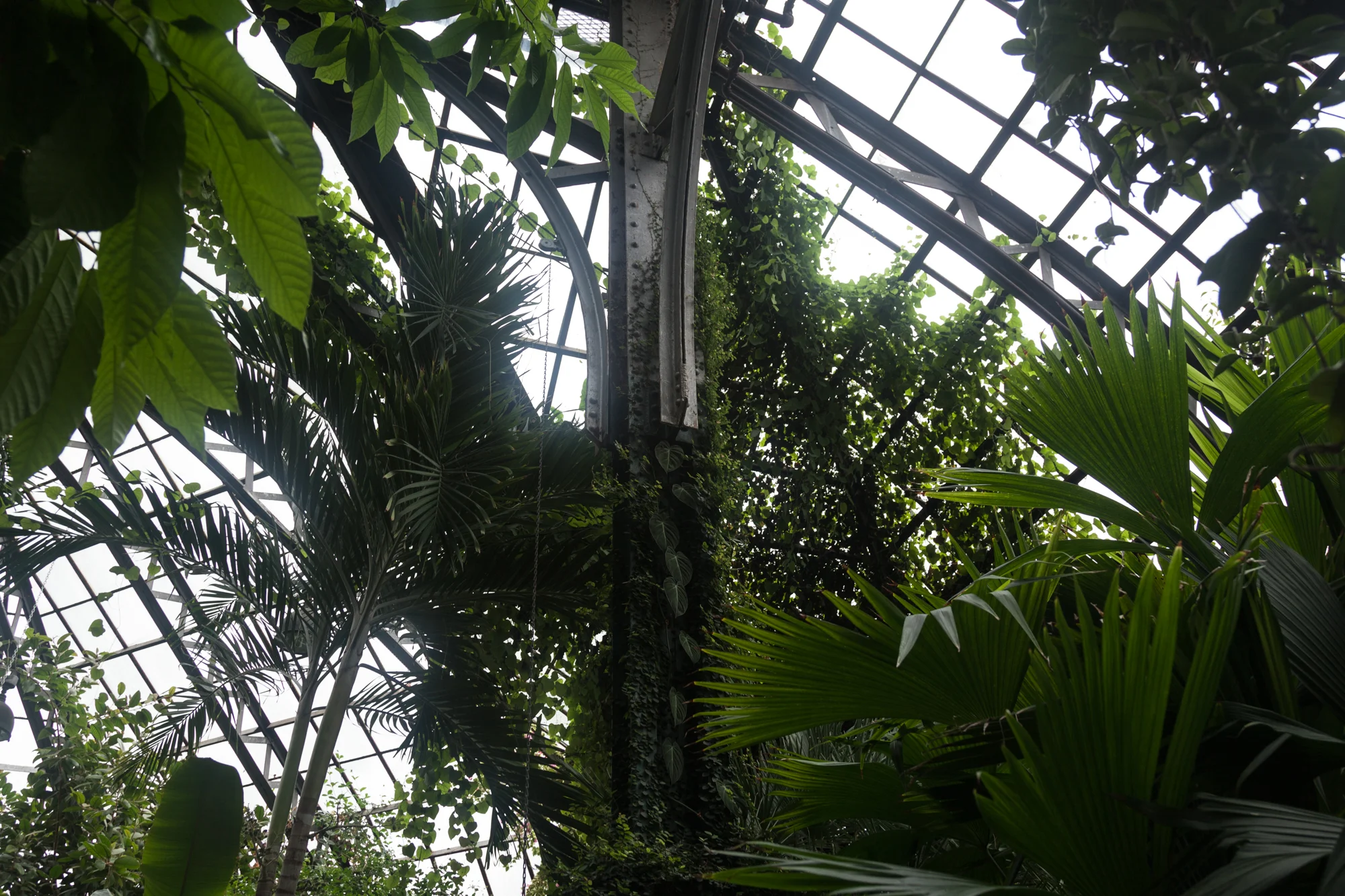 Lincoln-Park-Conservatory.jpg