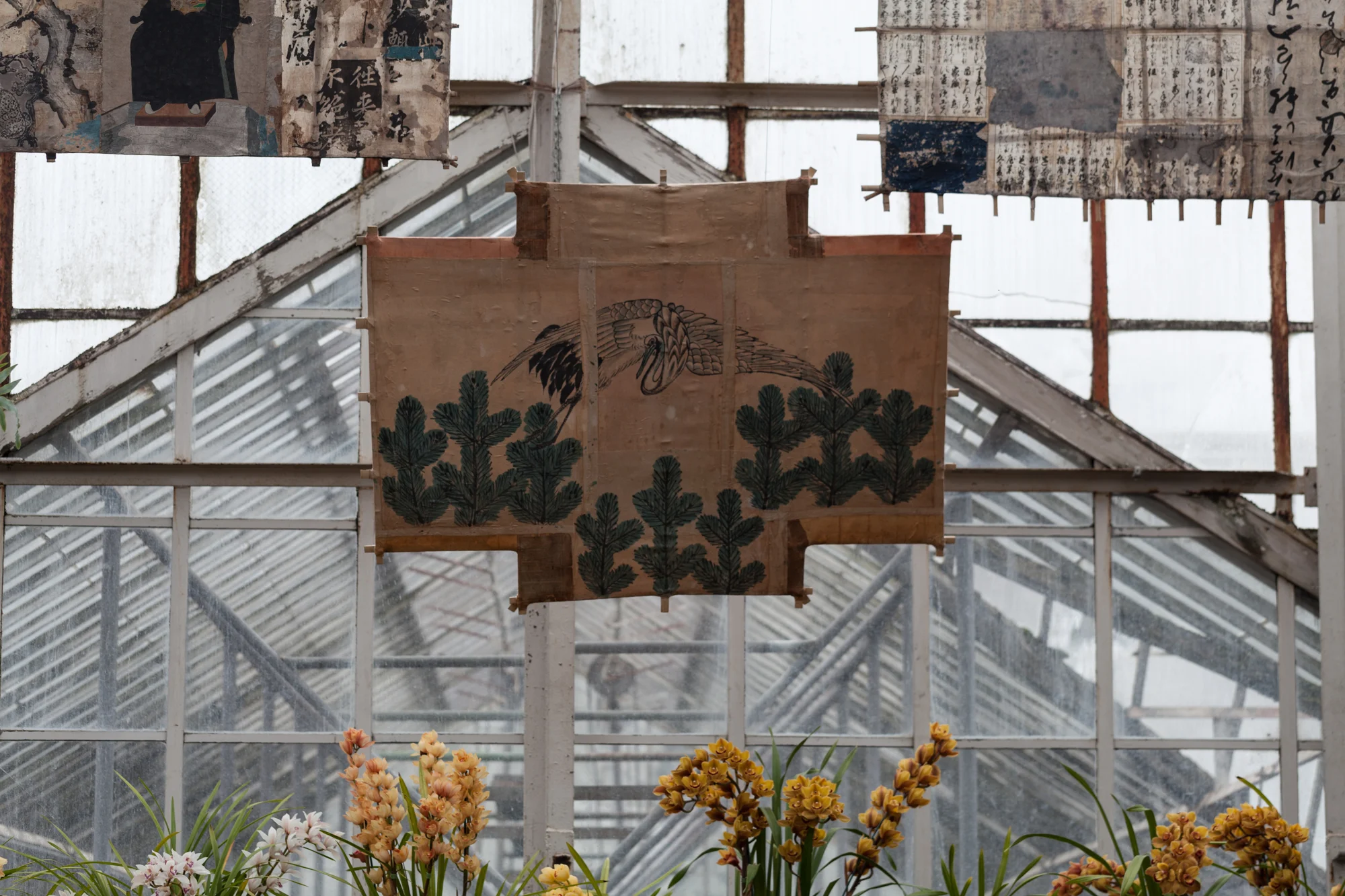 Lincoln-Park-Conservatory-Flowers.jpg