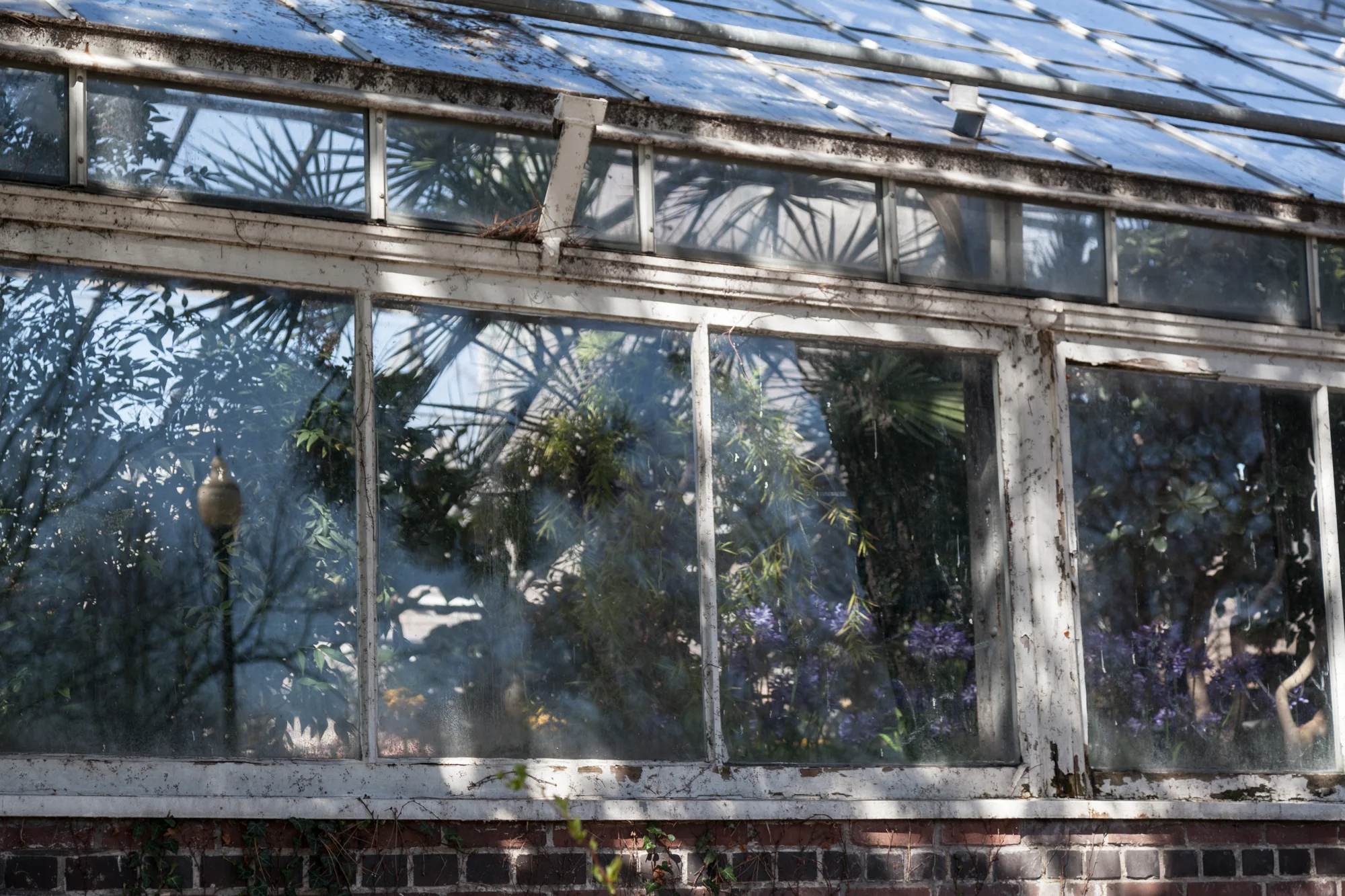 Allan Garden Conservatory, Toronto, Ontario 
