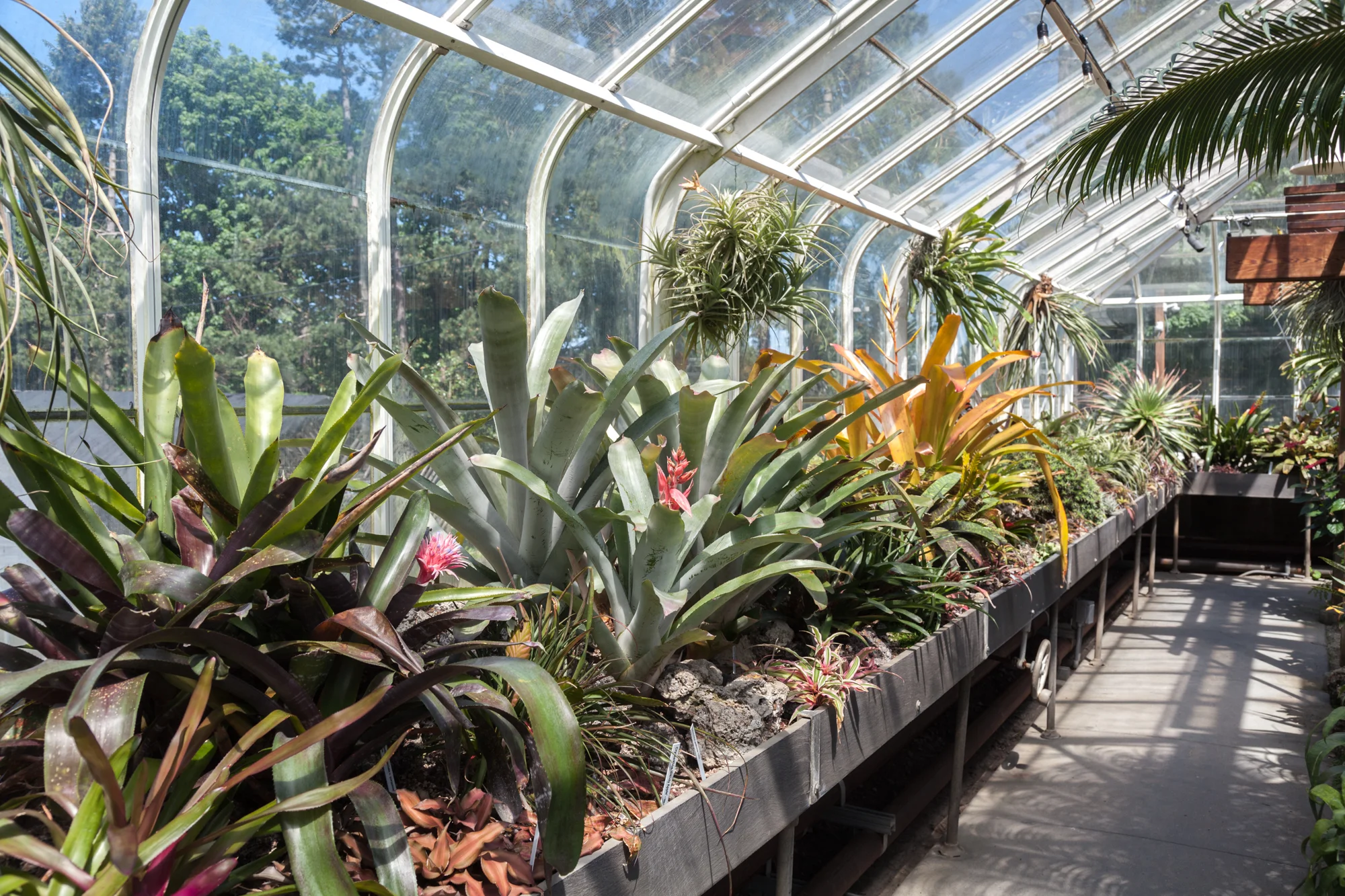 Volunteer Park Conservatory, Seattle, WA