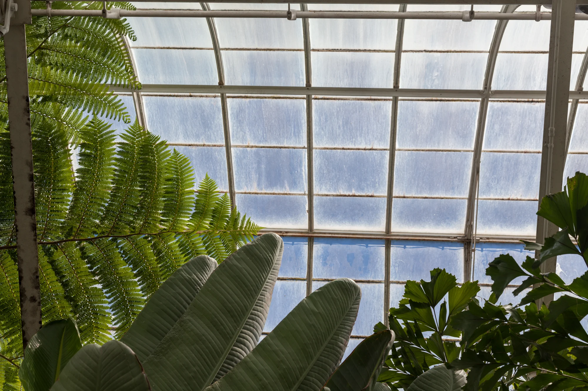 Volunteer-Park-Conservatory.jpg