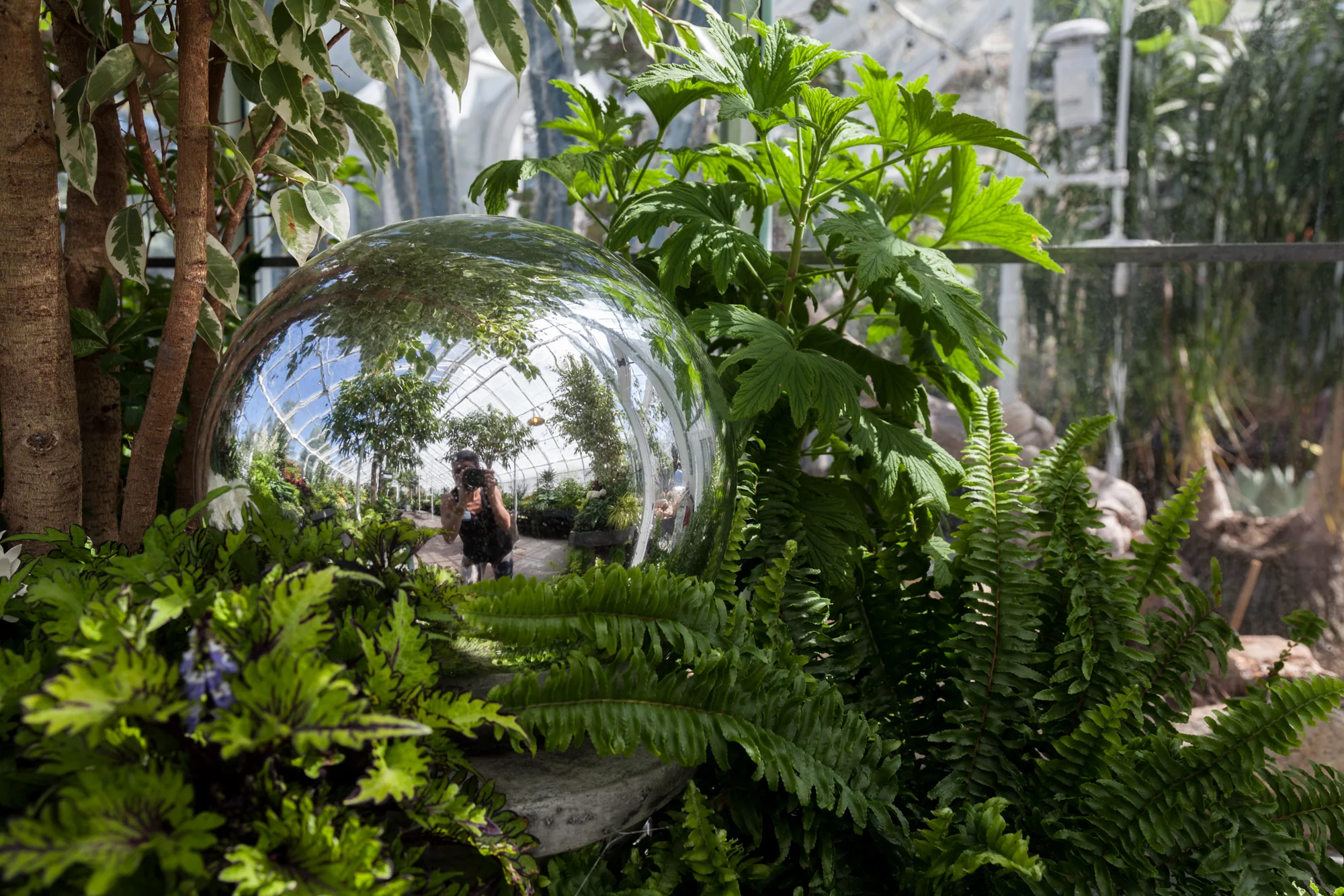Plant-selfie-Volunteer-Park-Conservatory-Summer-Rayne-Oakes.jpg