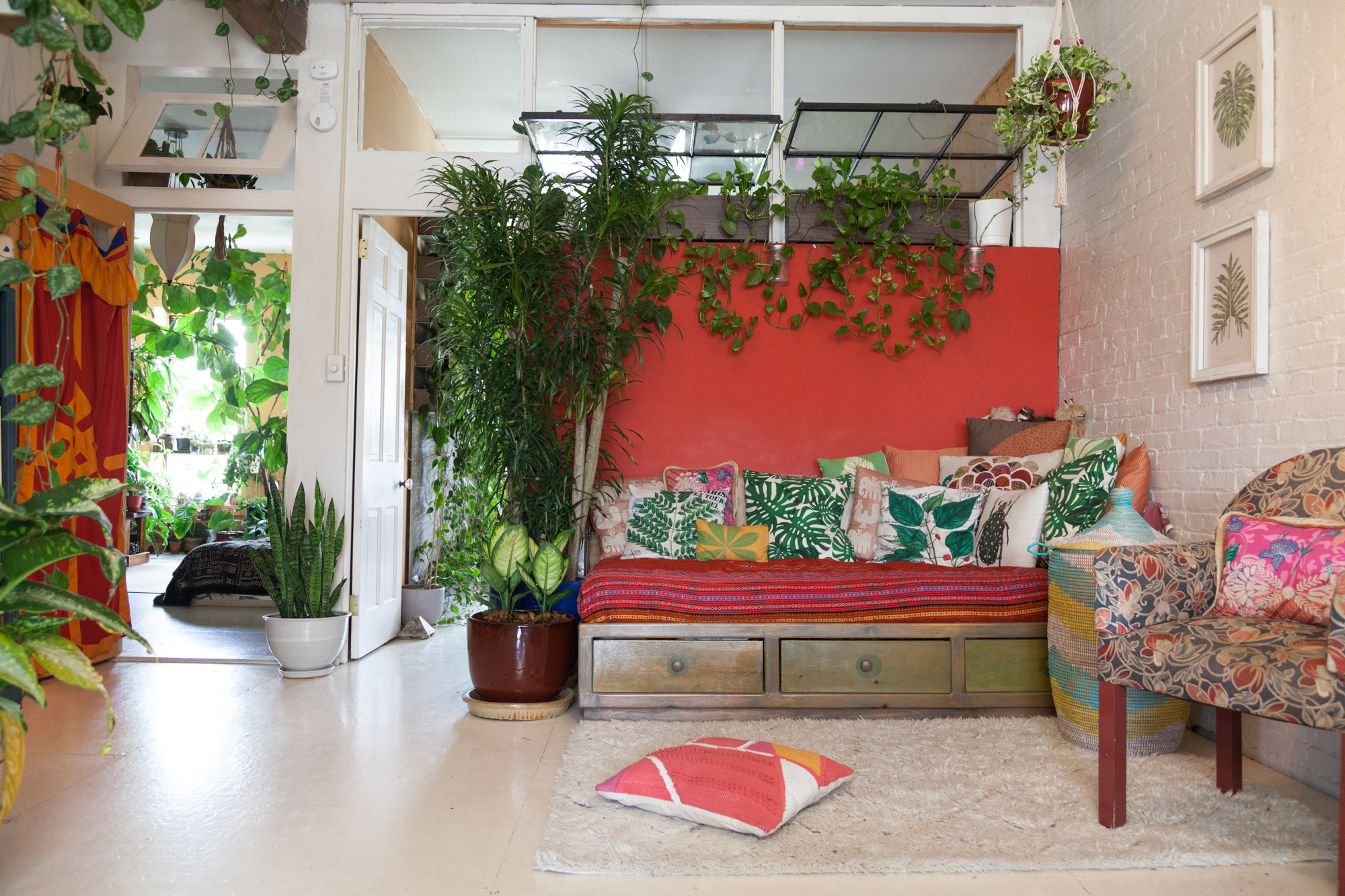 Official Houseplant Tour — Summer 2017