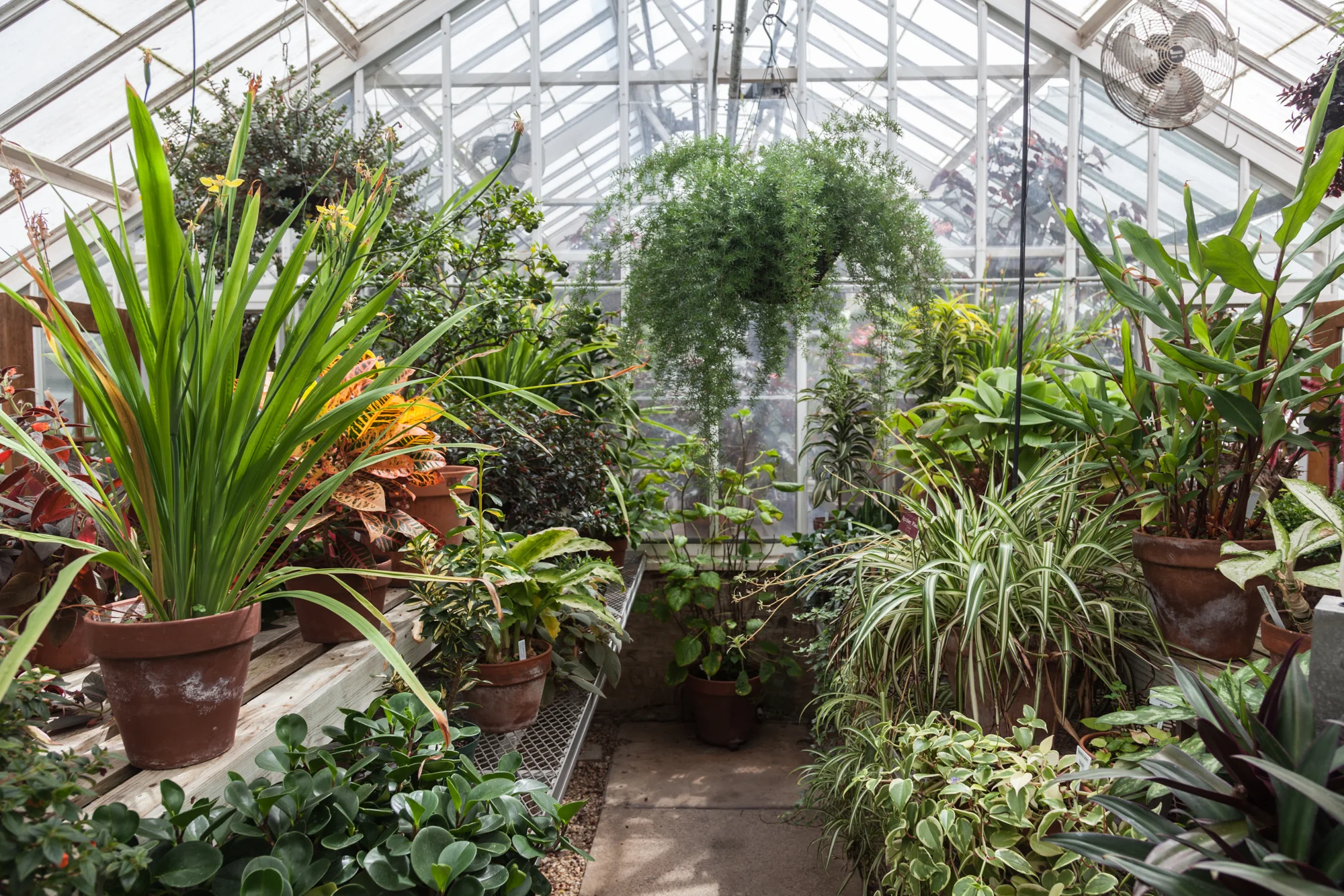 Planting-Fields-Arboretum-Greenhouse-Homestead-Brooklyn-Summer-Rayne-Oakes.jpg
