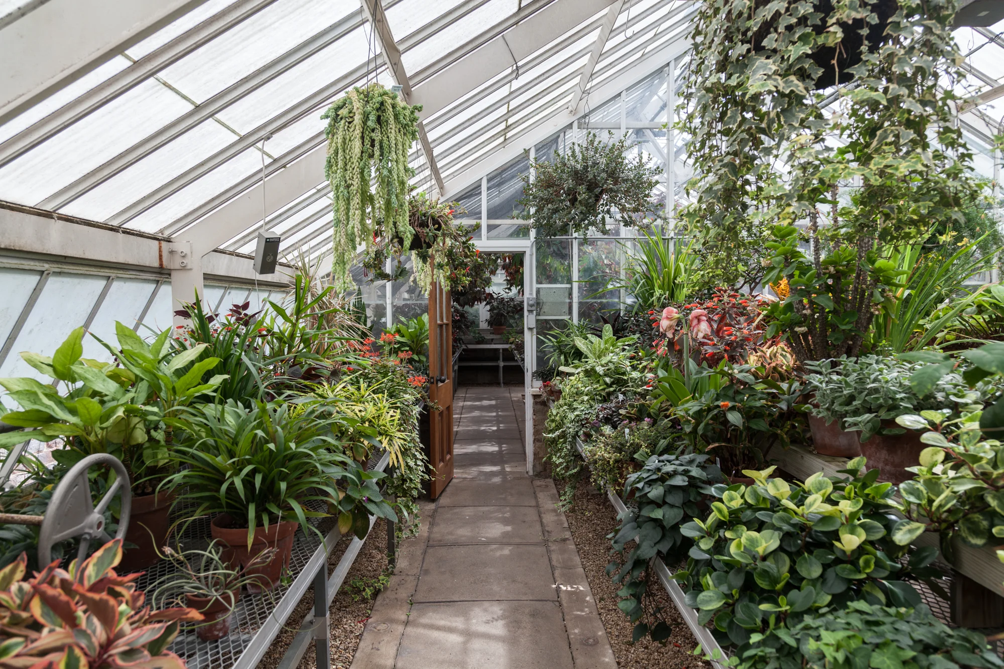 Planting-Fields-Arboretum-Greenhouse-Homestead-Brooklyn-Summer-Rayne-Oakes.jpg