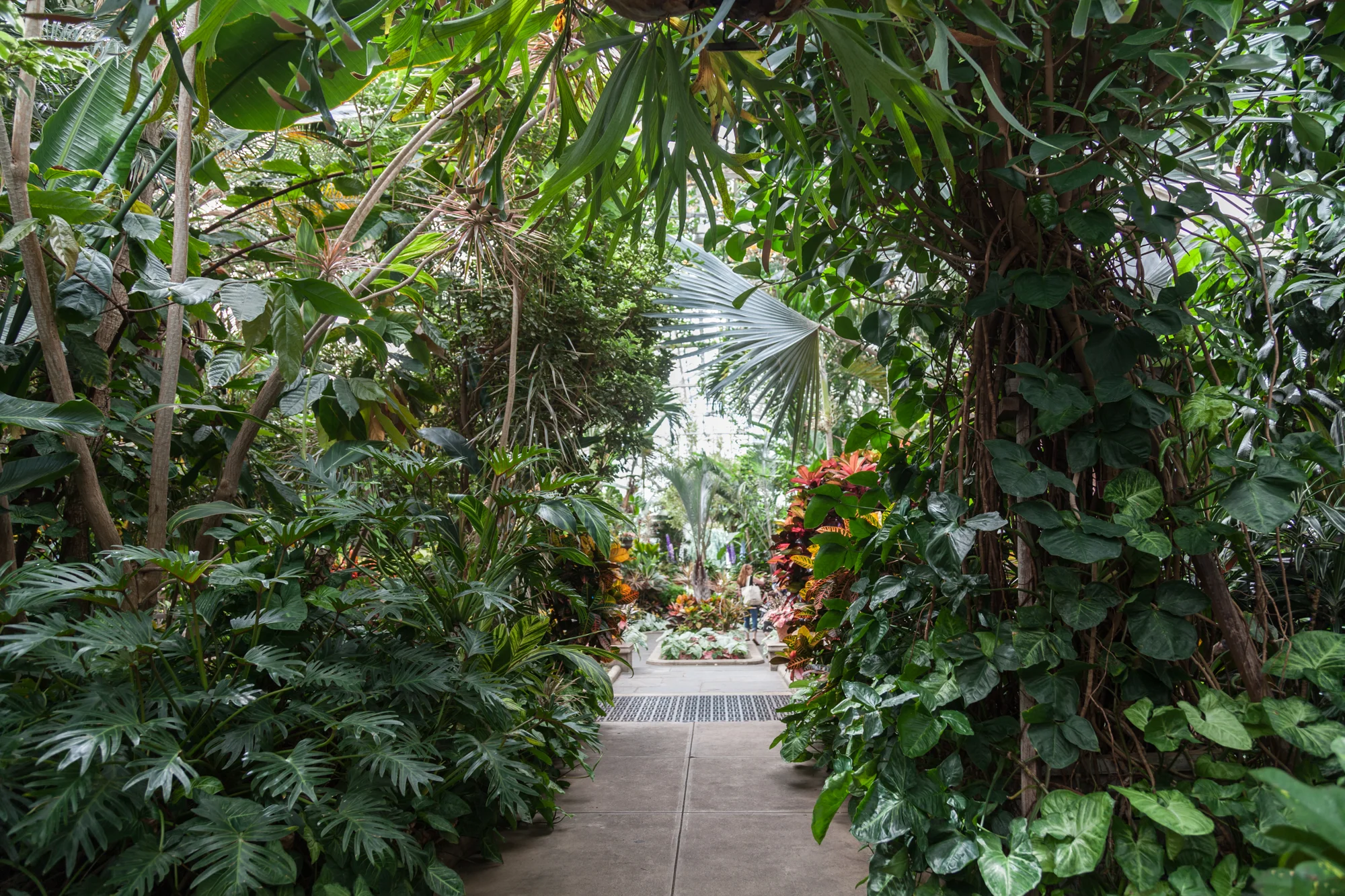 Planting-Fields-Greenhouse-Summer-Rayne-Oakes-Homestead-Brooklyn.jpg