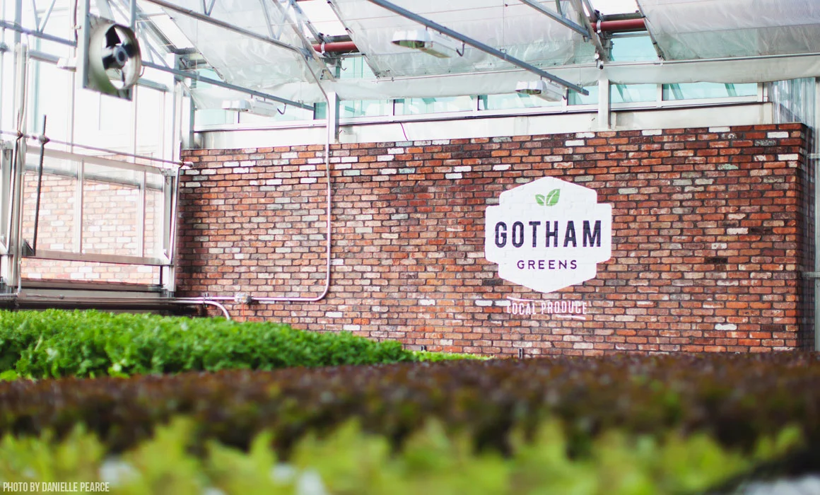 Gotham Greens: hydroponic rooftop farm