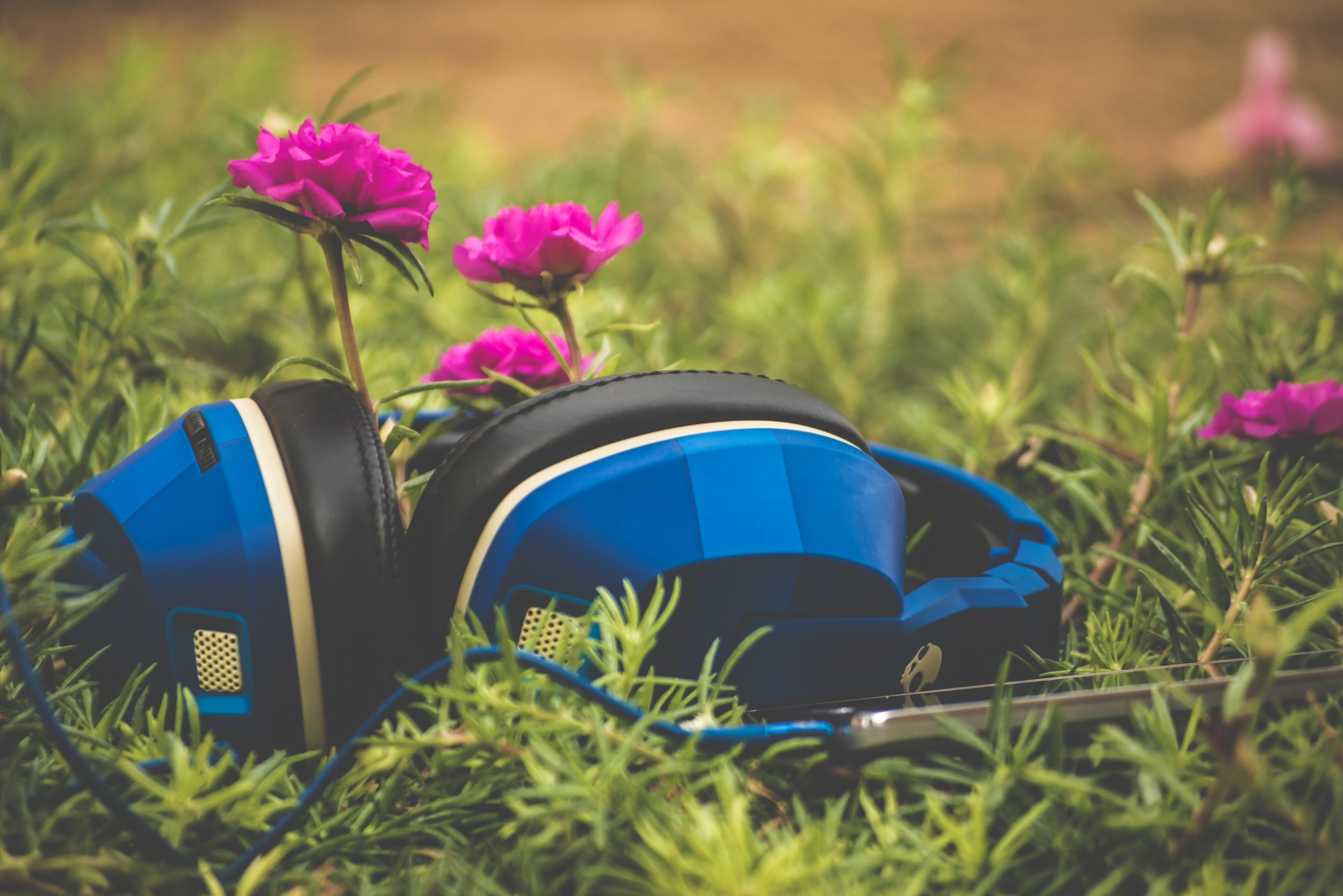 3 plant podcasts I'm listening to