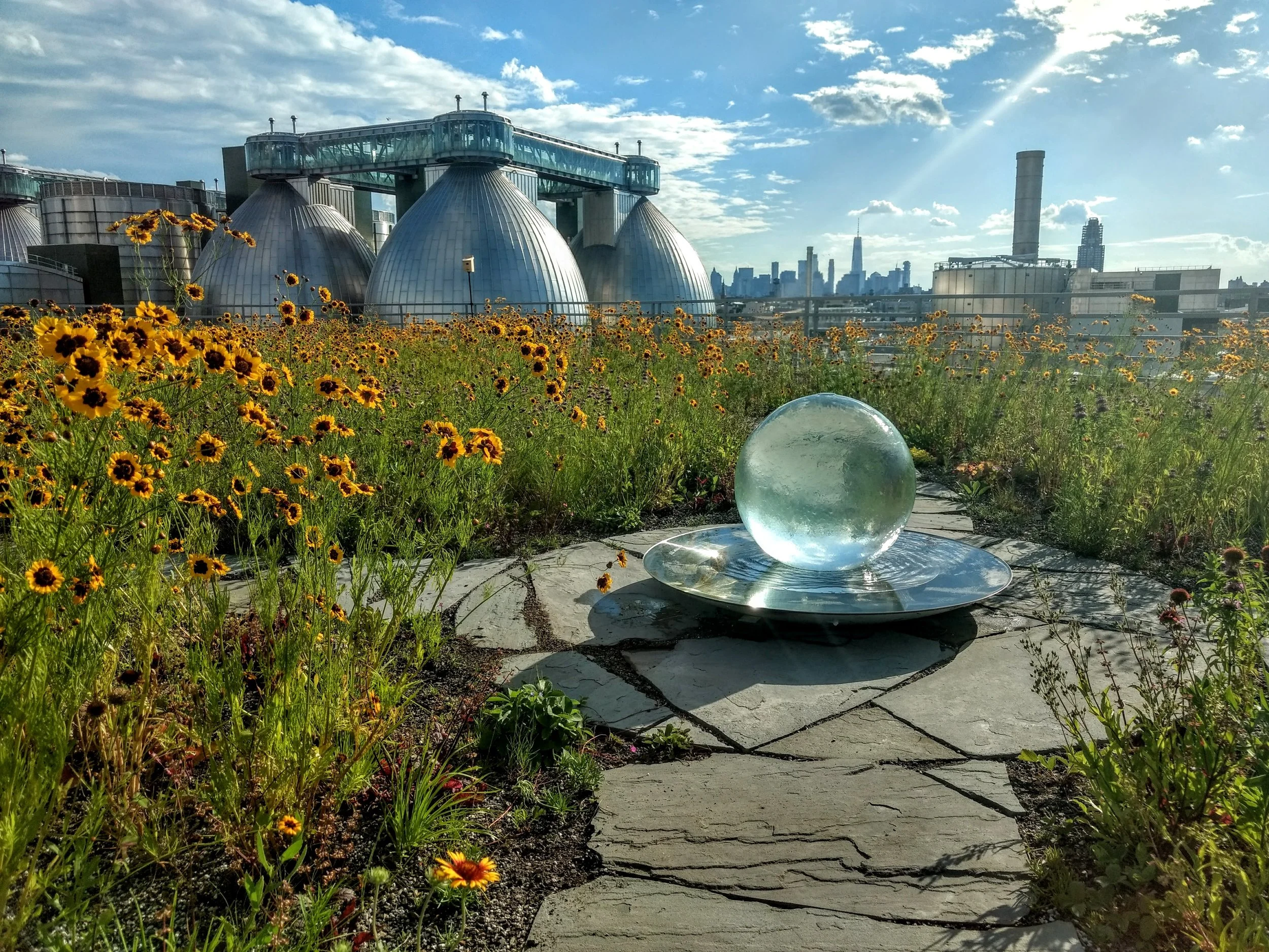Landscaping the sky: green roofs in the city