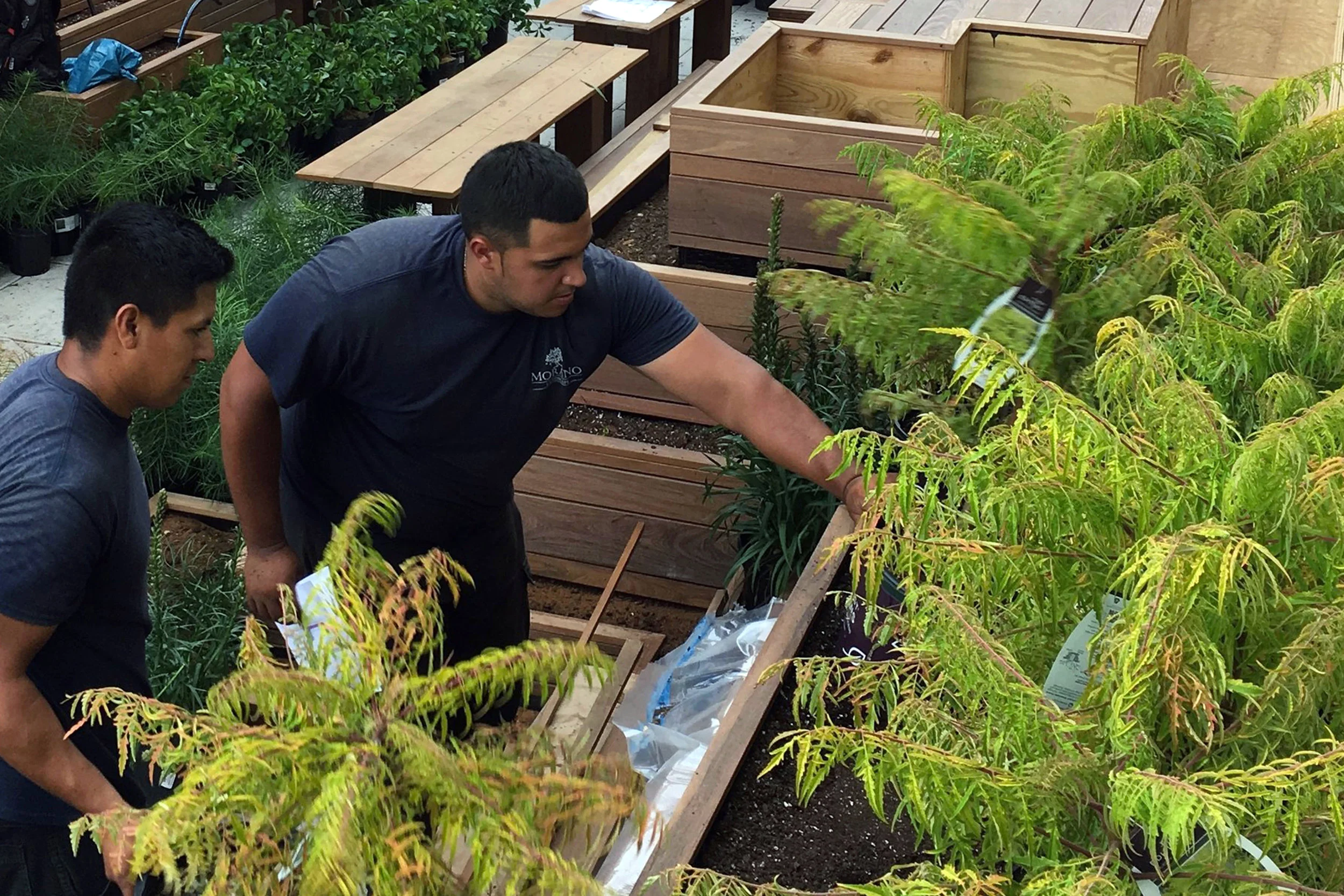 Is “gardener” a dirty word?