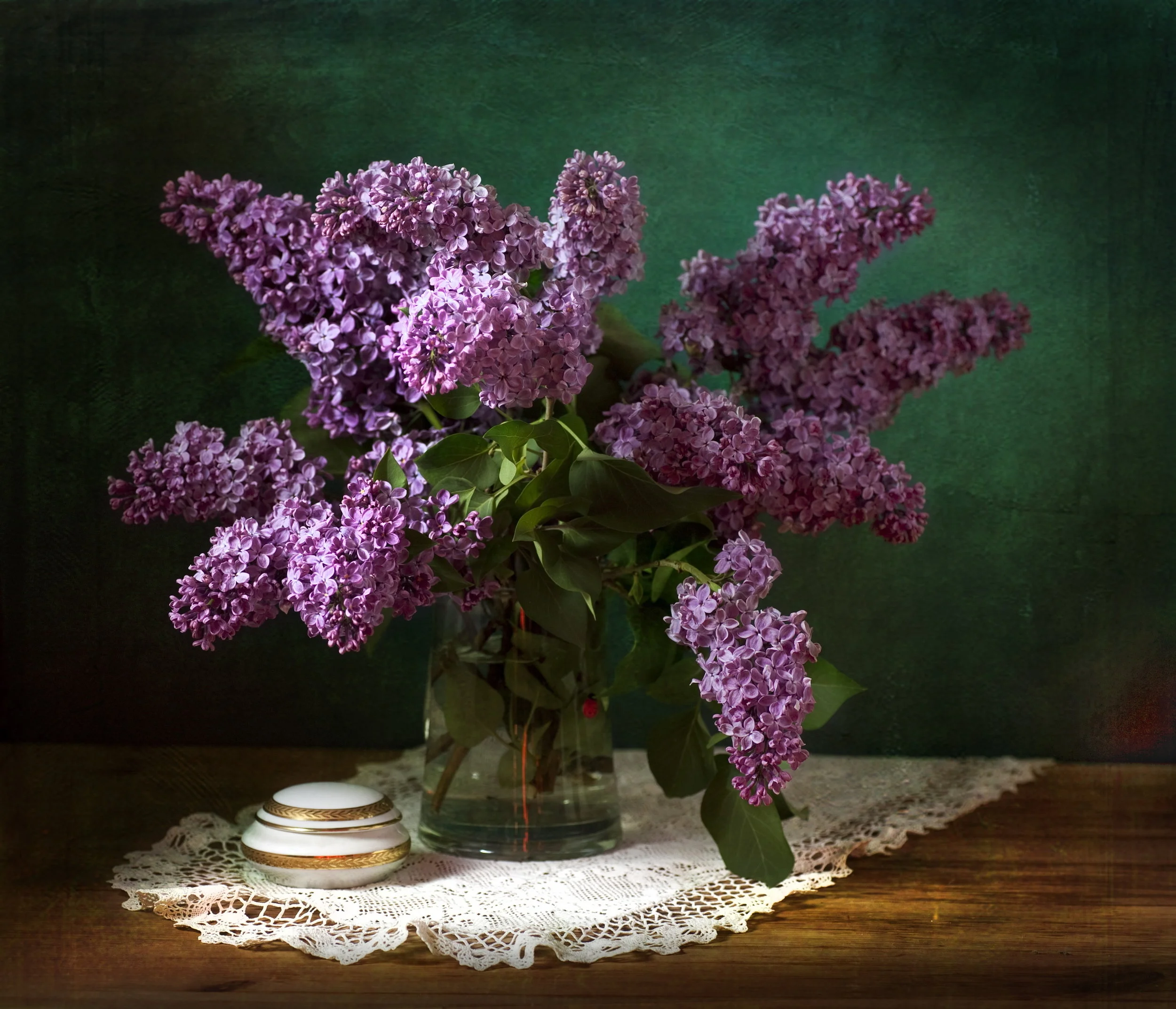 lilac-homestead-brooklyn-Syringa-vulgaris.jpg
