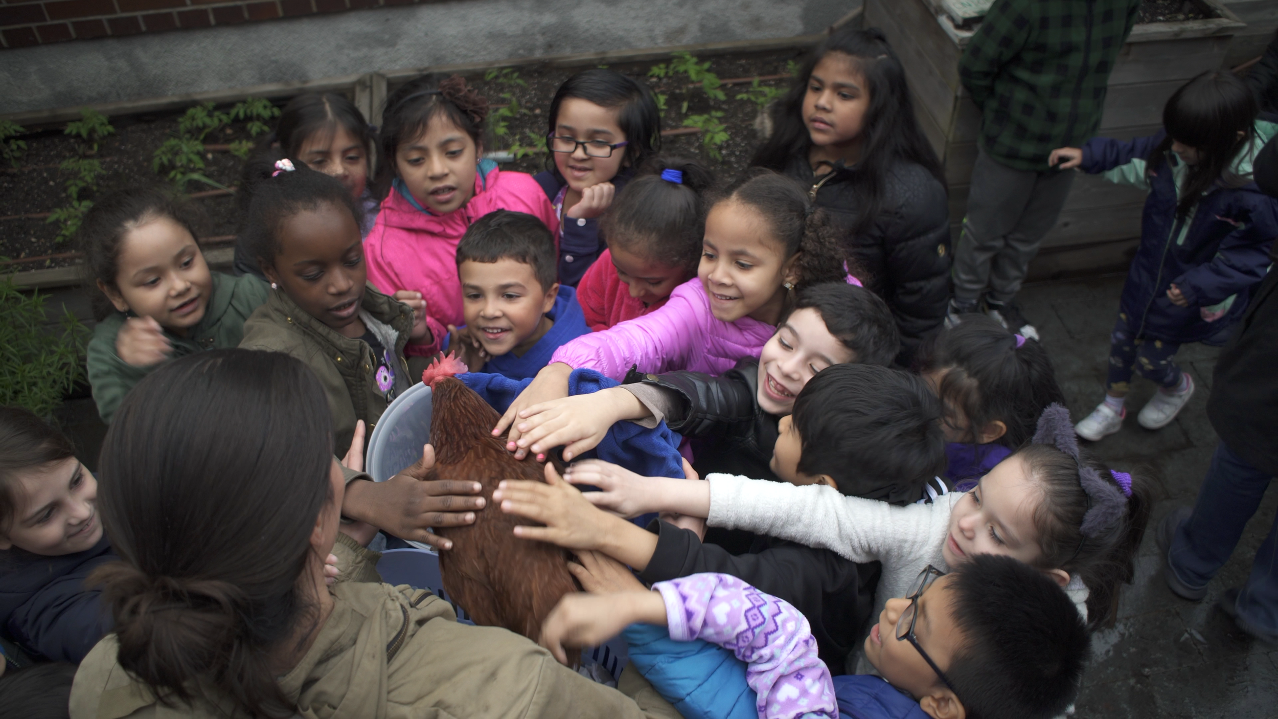 Garden-based learning in school