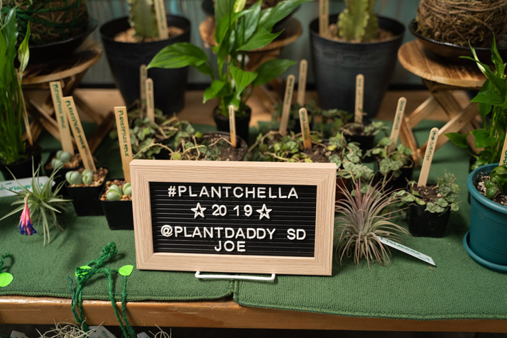 Plant-Swap-LA---0029.jpg