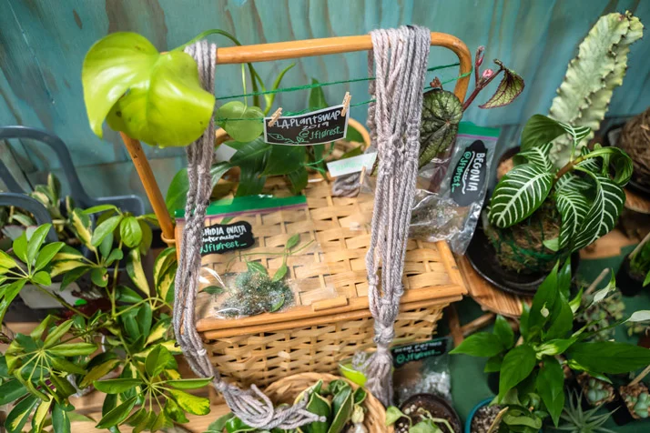Plant-Swap-LA---0032.jpg