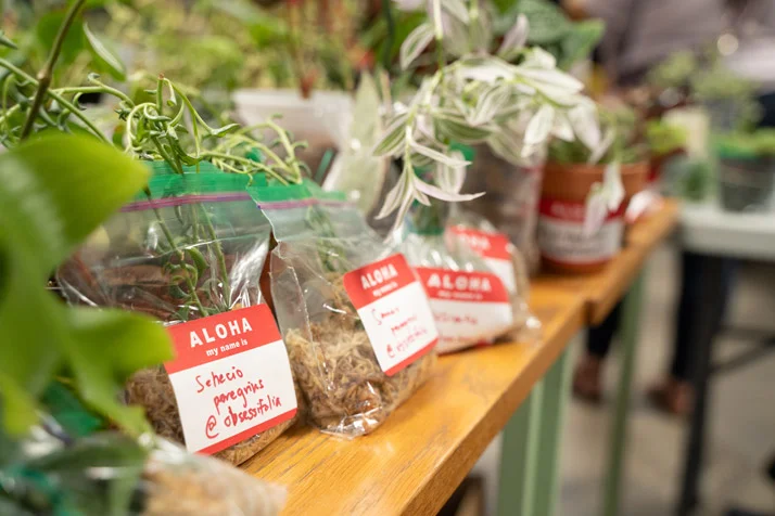 Plant-Swap-LA---0037.jpg