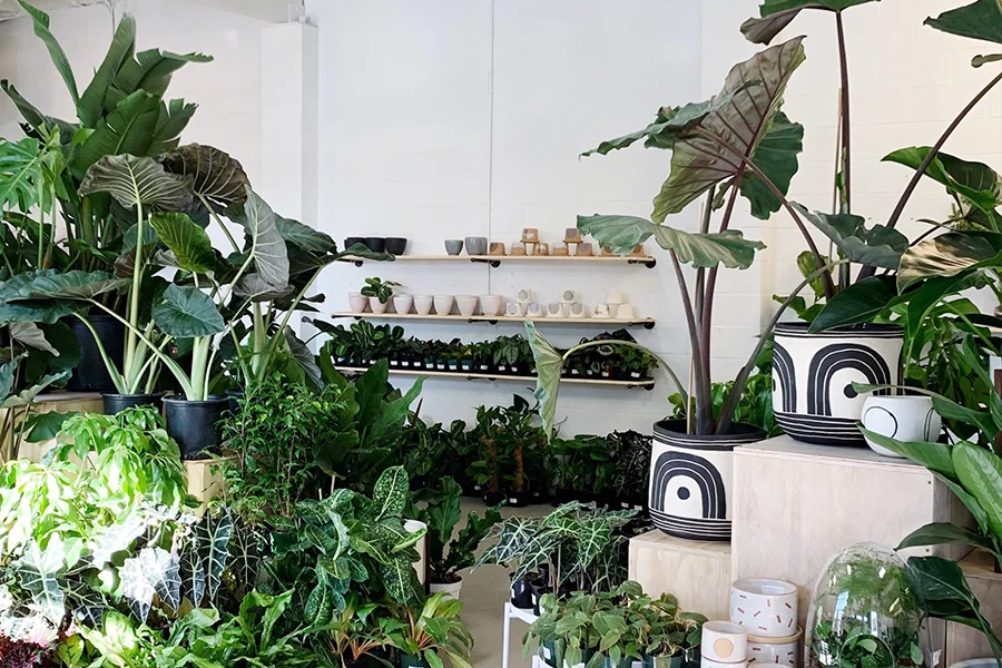 Book Tour - Portland