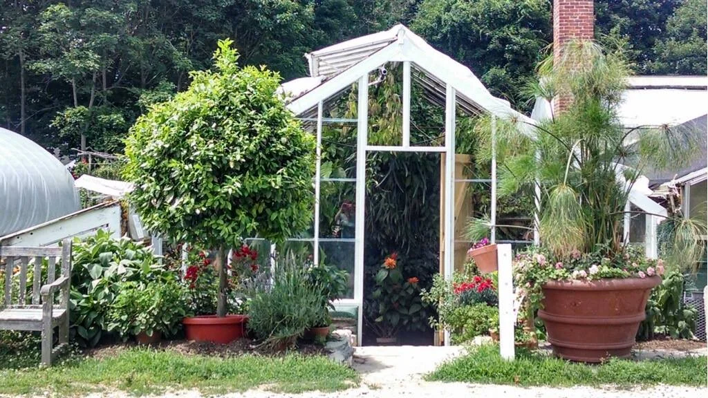 Book Tour: Danielson Connecticut with Logee’s Greenhouses