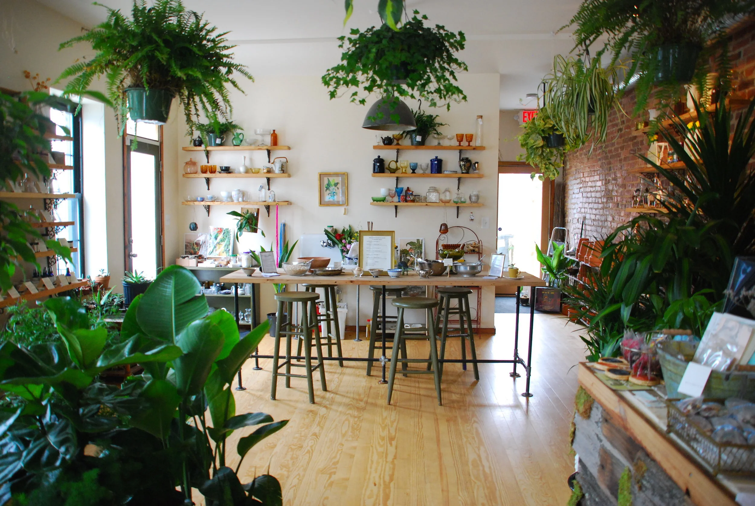 Workshop &amp; Book Signing at B. Willow in Baltimore 