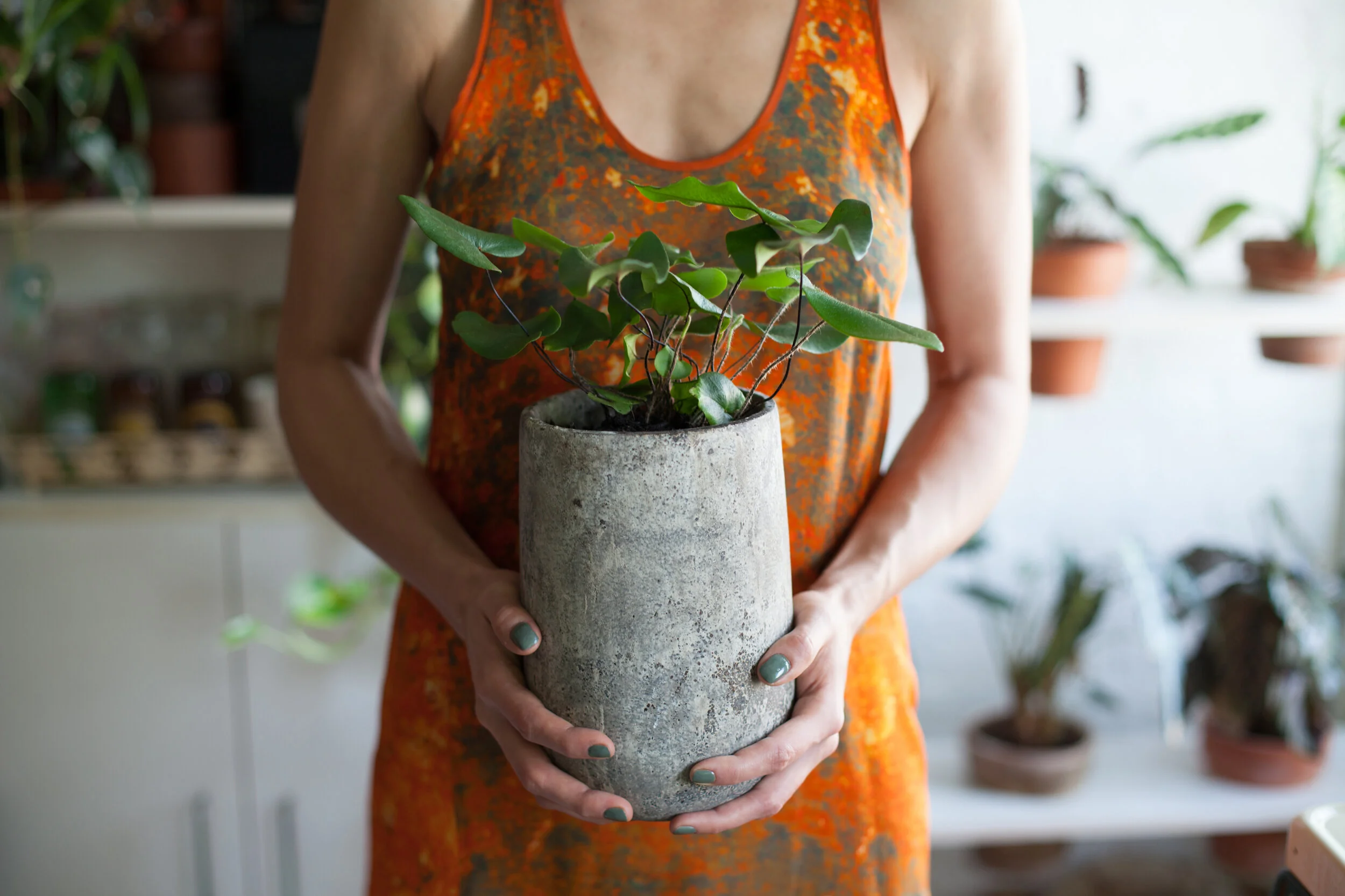Plant Love in the Time of Covid-19: Plant One Forward Through the Pandemic