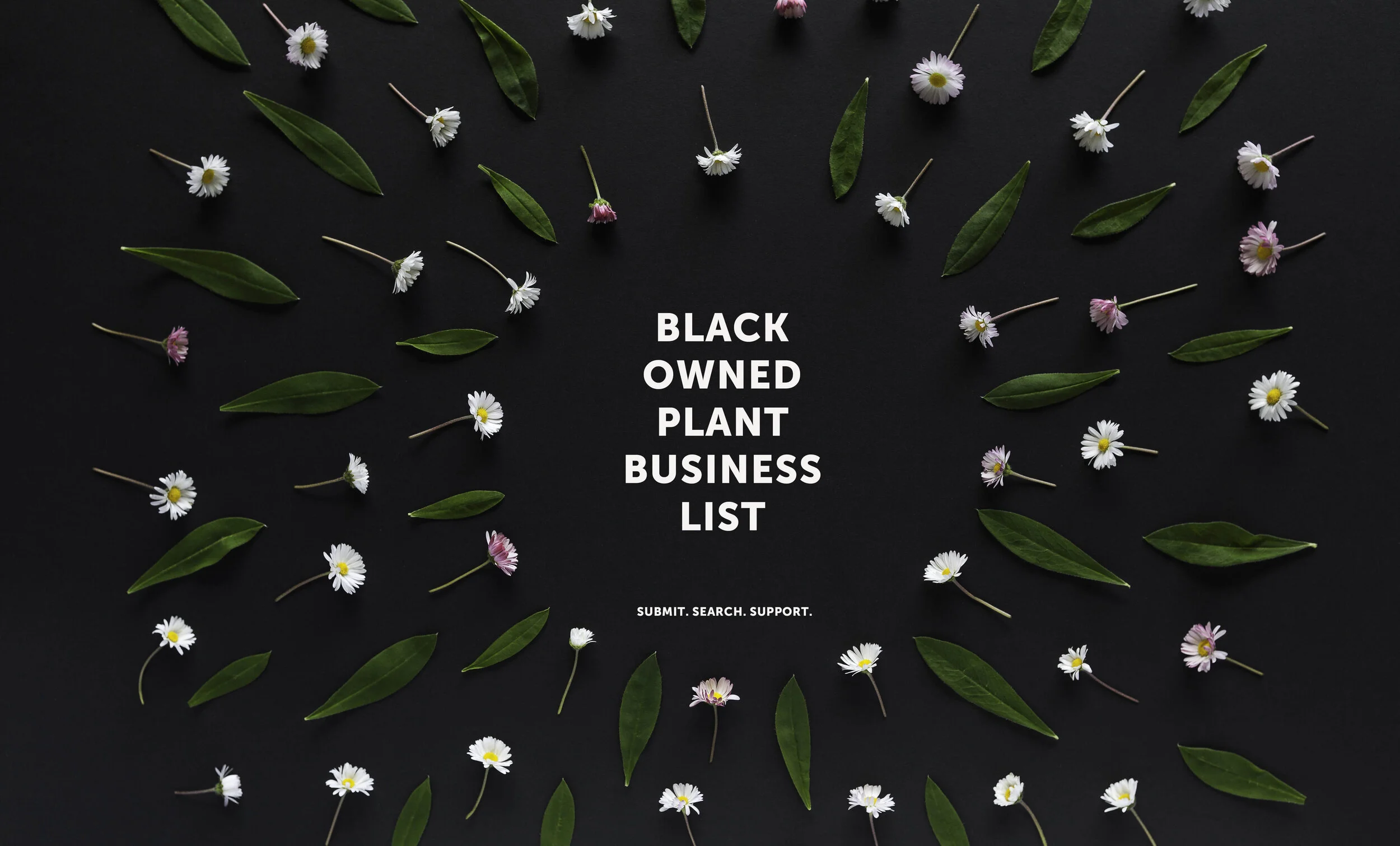Black-owned Plant Businesses 
