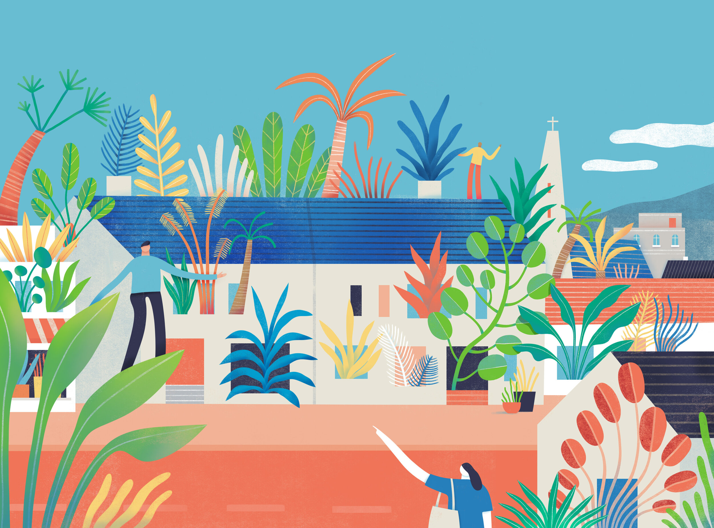 Scholarship for Houseplant Masterclass Launches