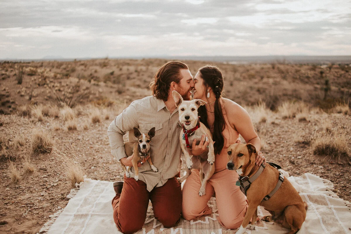 Vendor Love - Drunk On Decor 