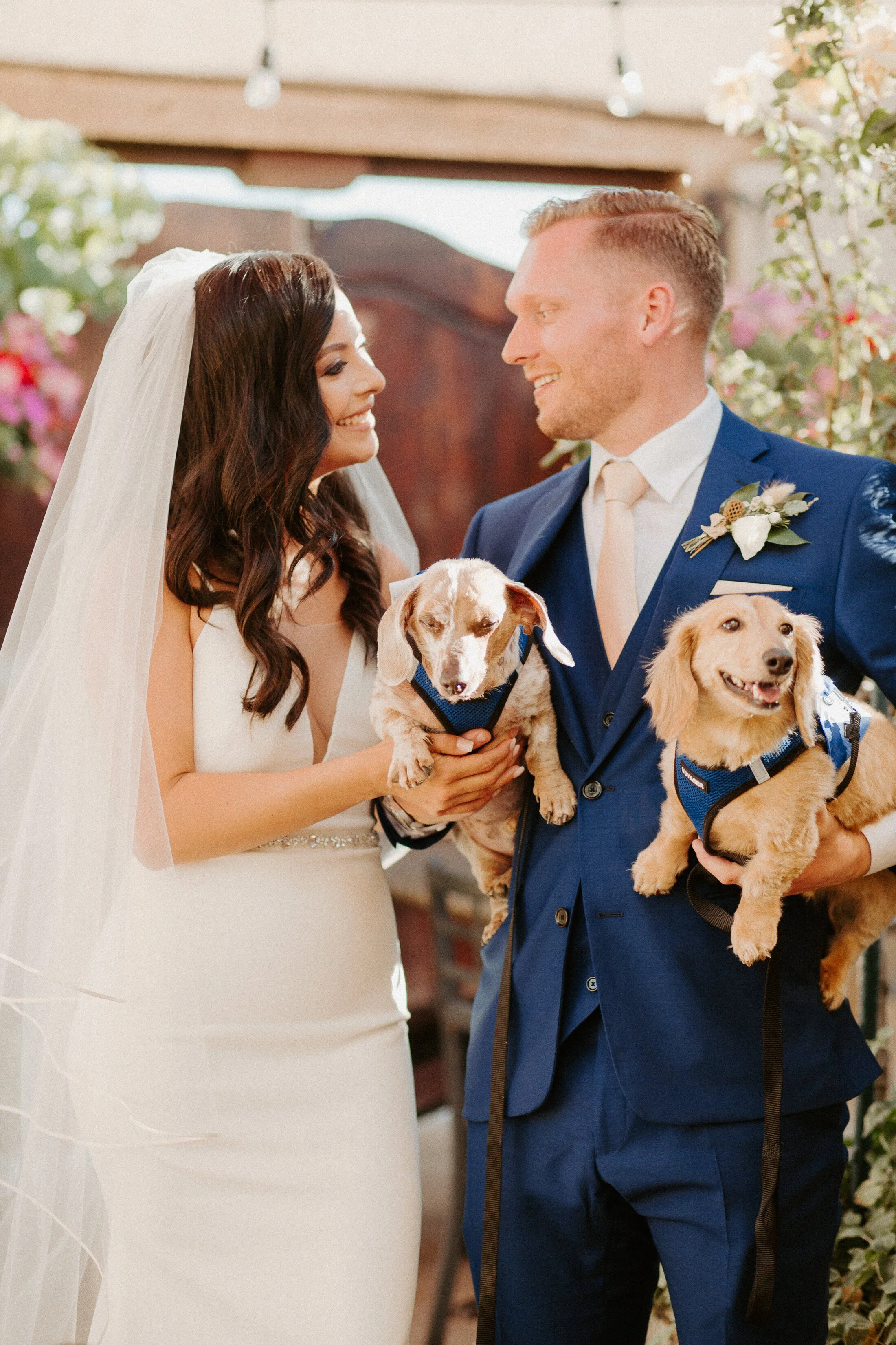 D.H Lescombes Winery New Mexico Wedding | Nicole + Zach