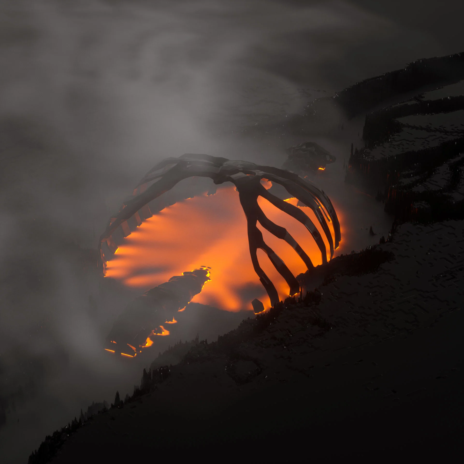 exp_200_04_ribs0127.jpg