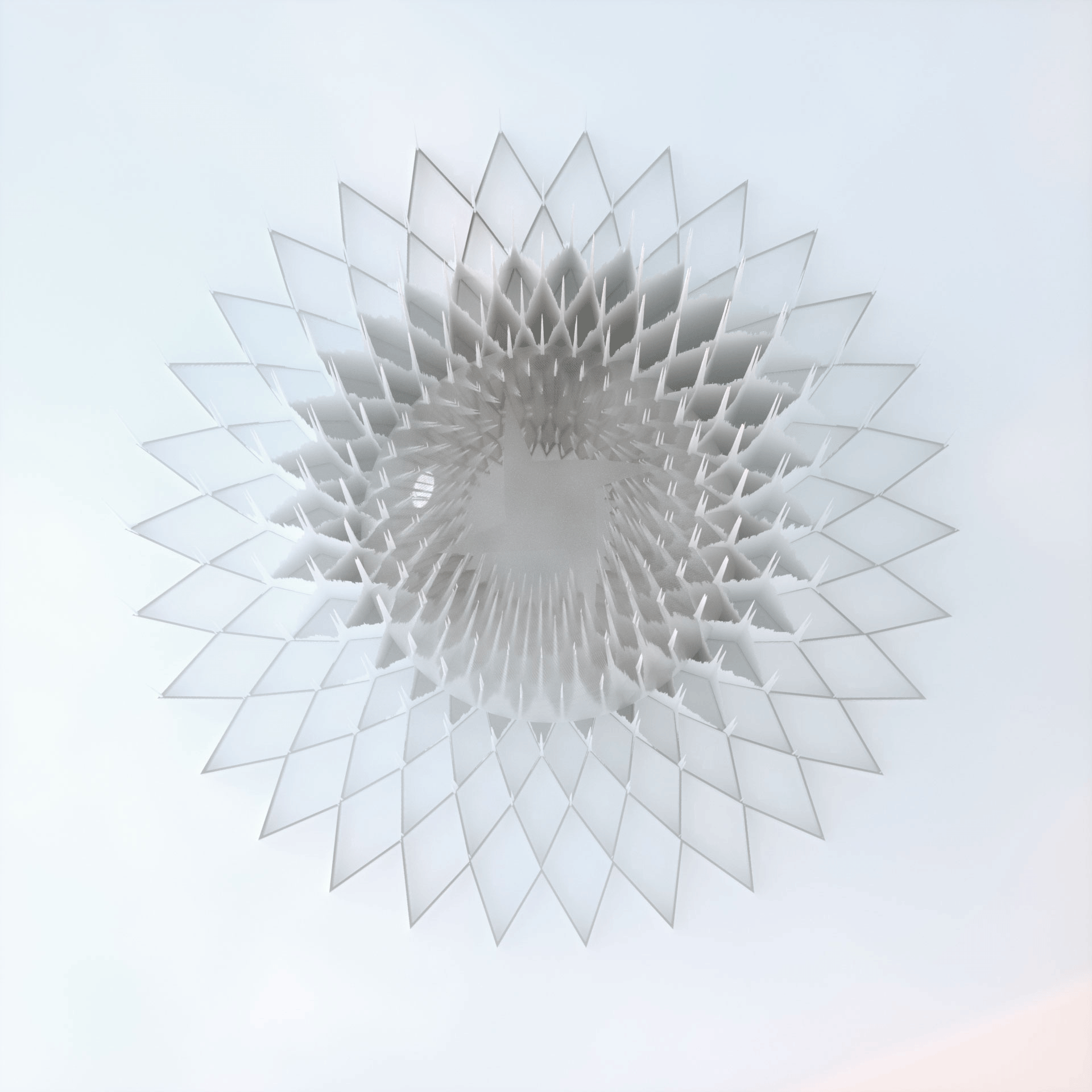 exp_201_04_flower0127_halfbake_02.png