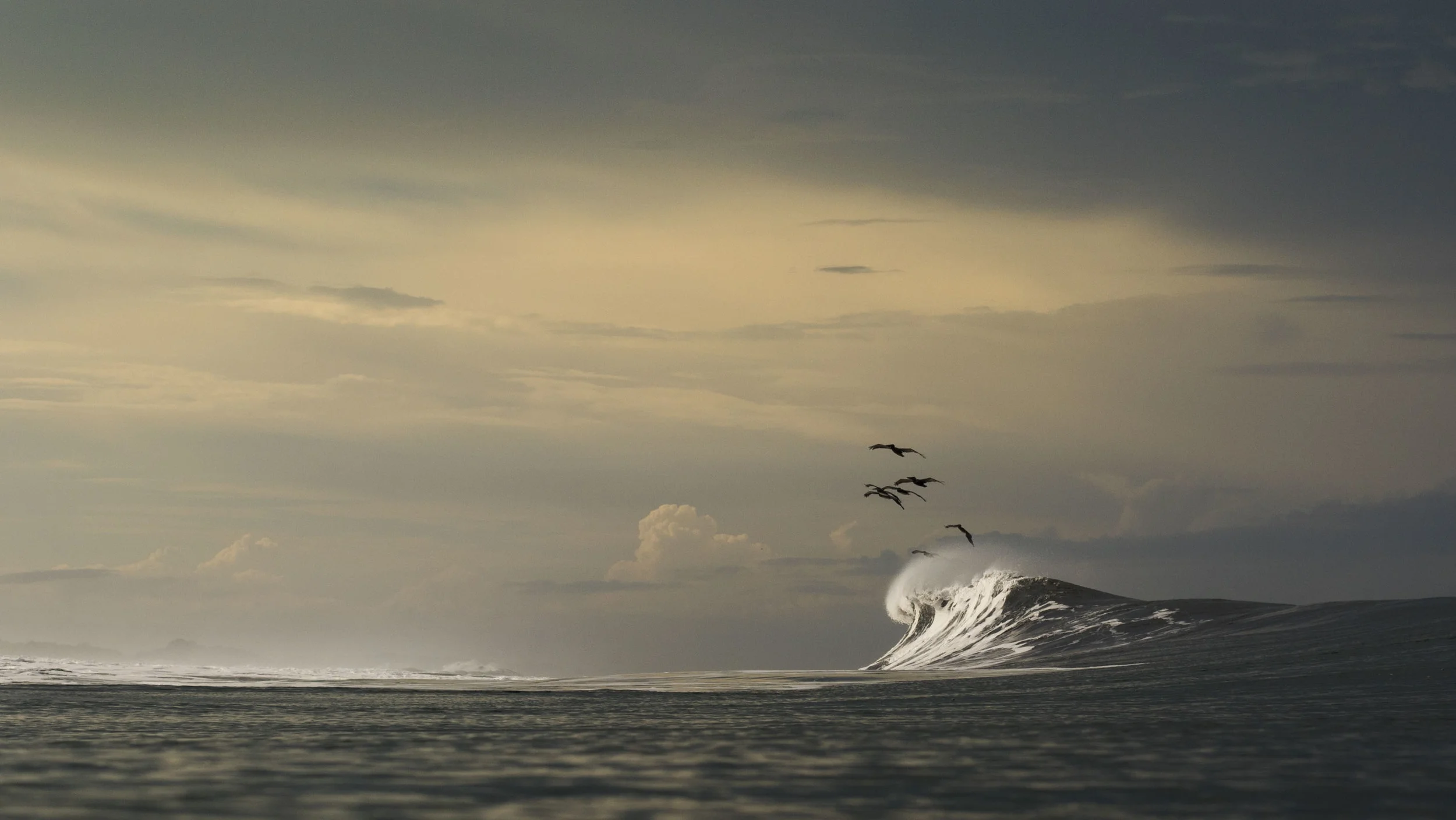 Mirando al sur los pelicanos migrando y las nubes que desde temprano entran en cuadro en esta lluviosa temporada.