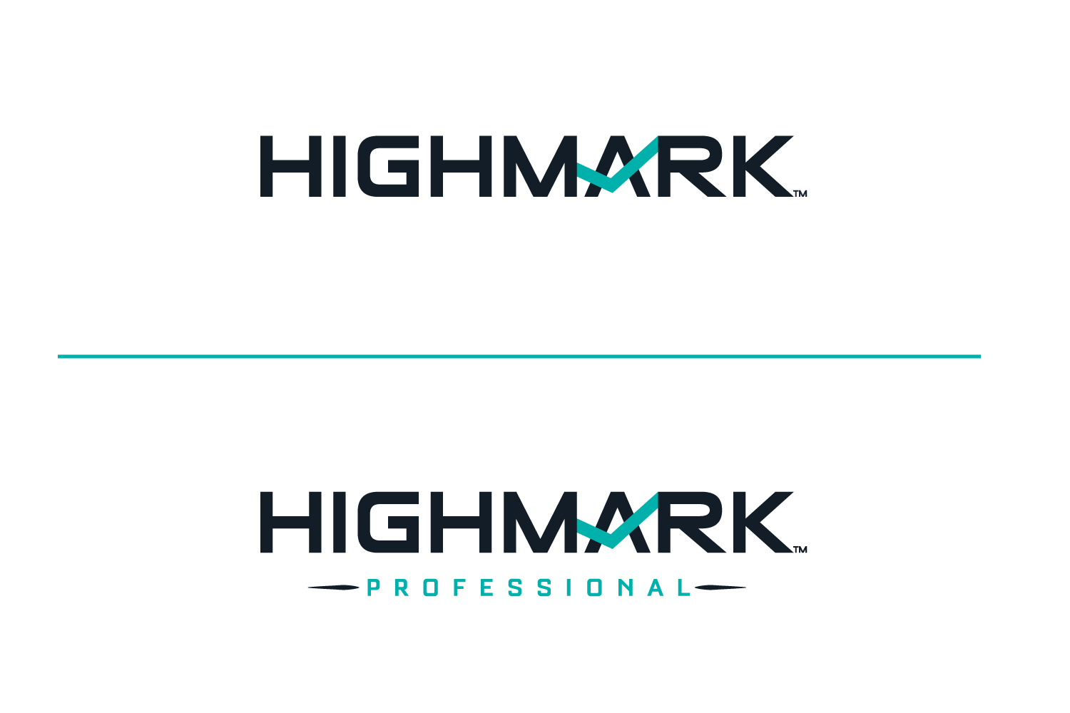 HighMark_logo.png