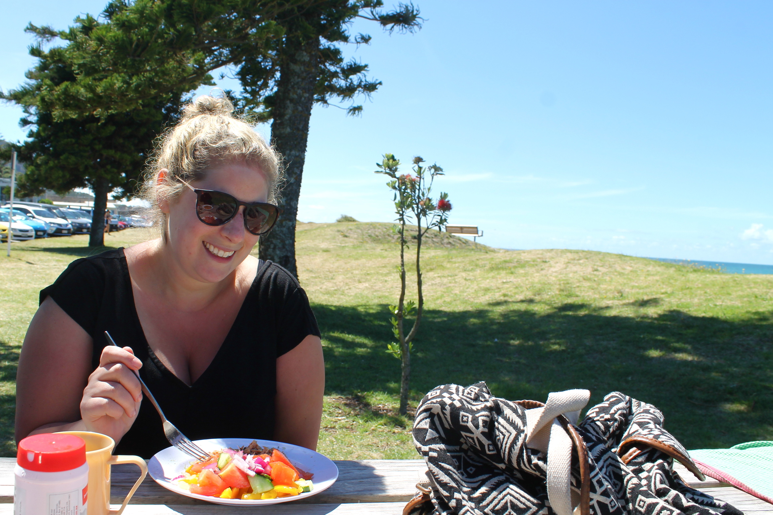 Picnicking at the Mount.