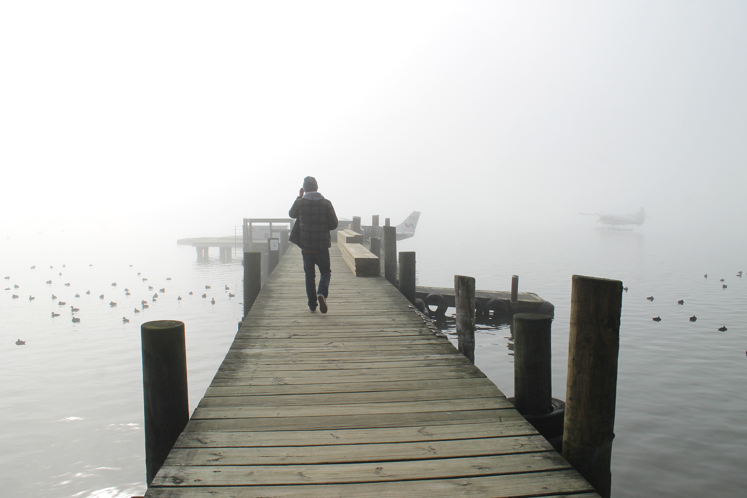 Misty Rotorua.