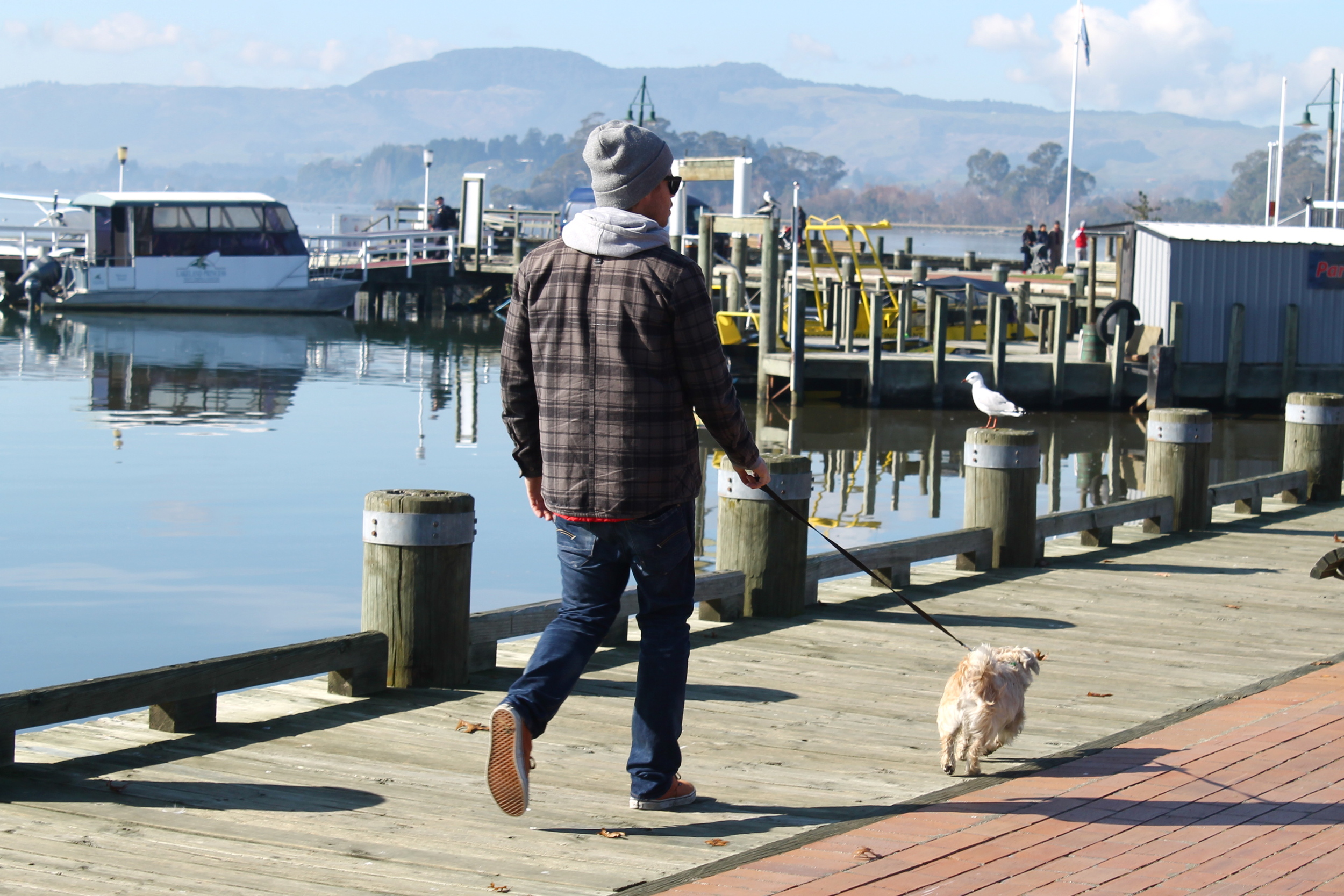 While perusing the markets, a stranger asked Scott to take her dog, "Prince Albert" on a walk while she manned her table. This is the kind of thing that happens in New Zealand. 