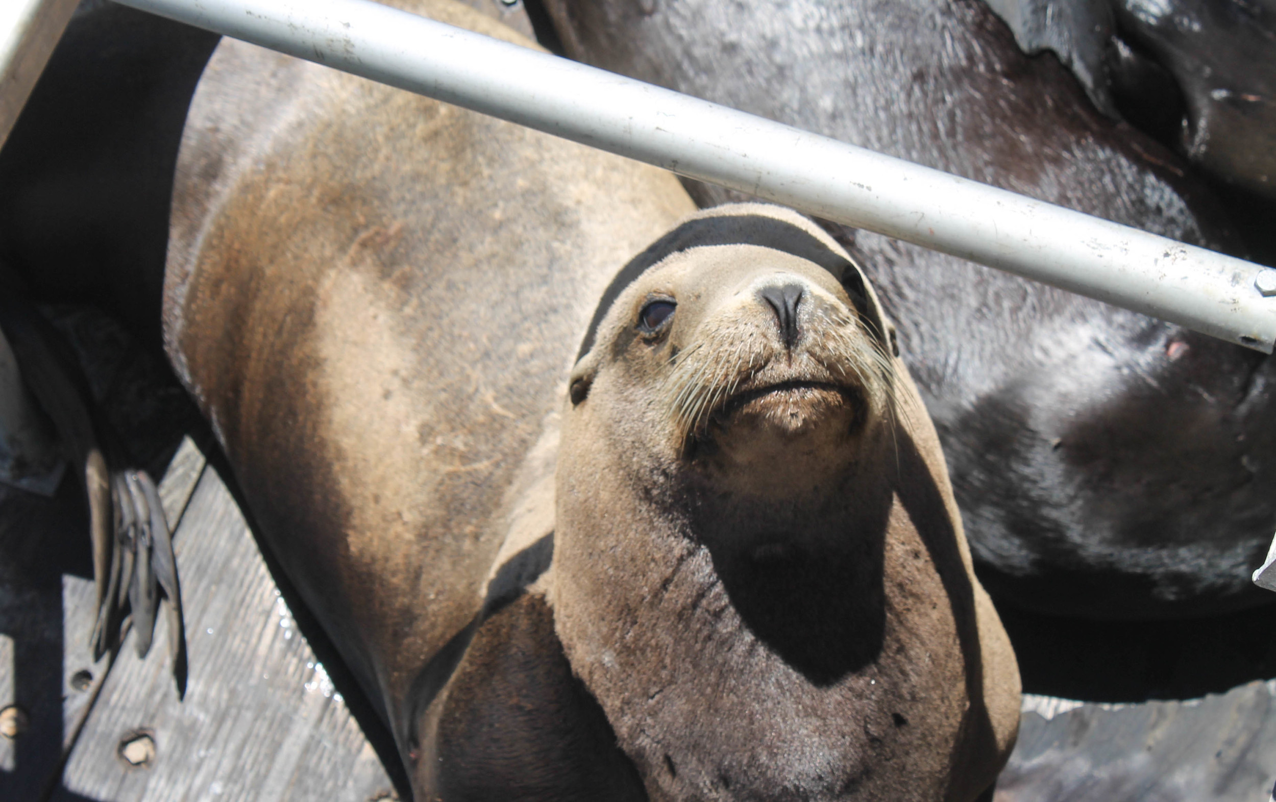 "oh hey girl what up"
