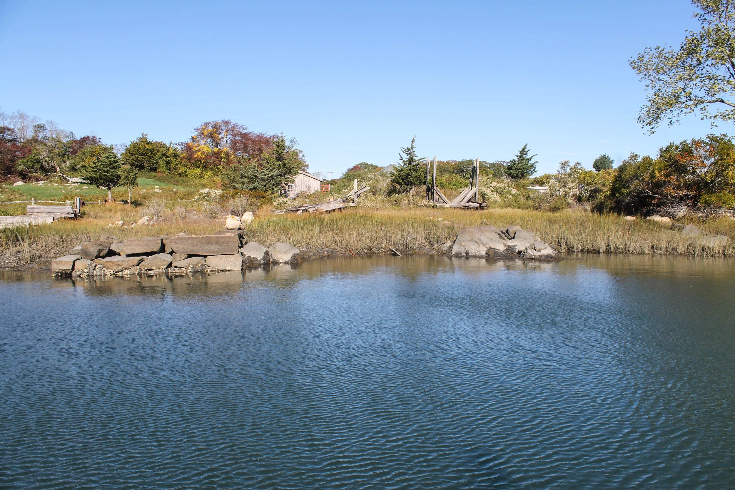 Naushon Island — BLOG — RACHEL KING