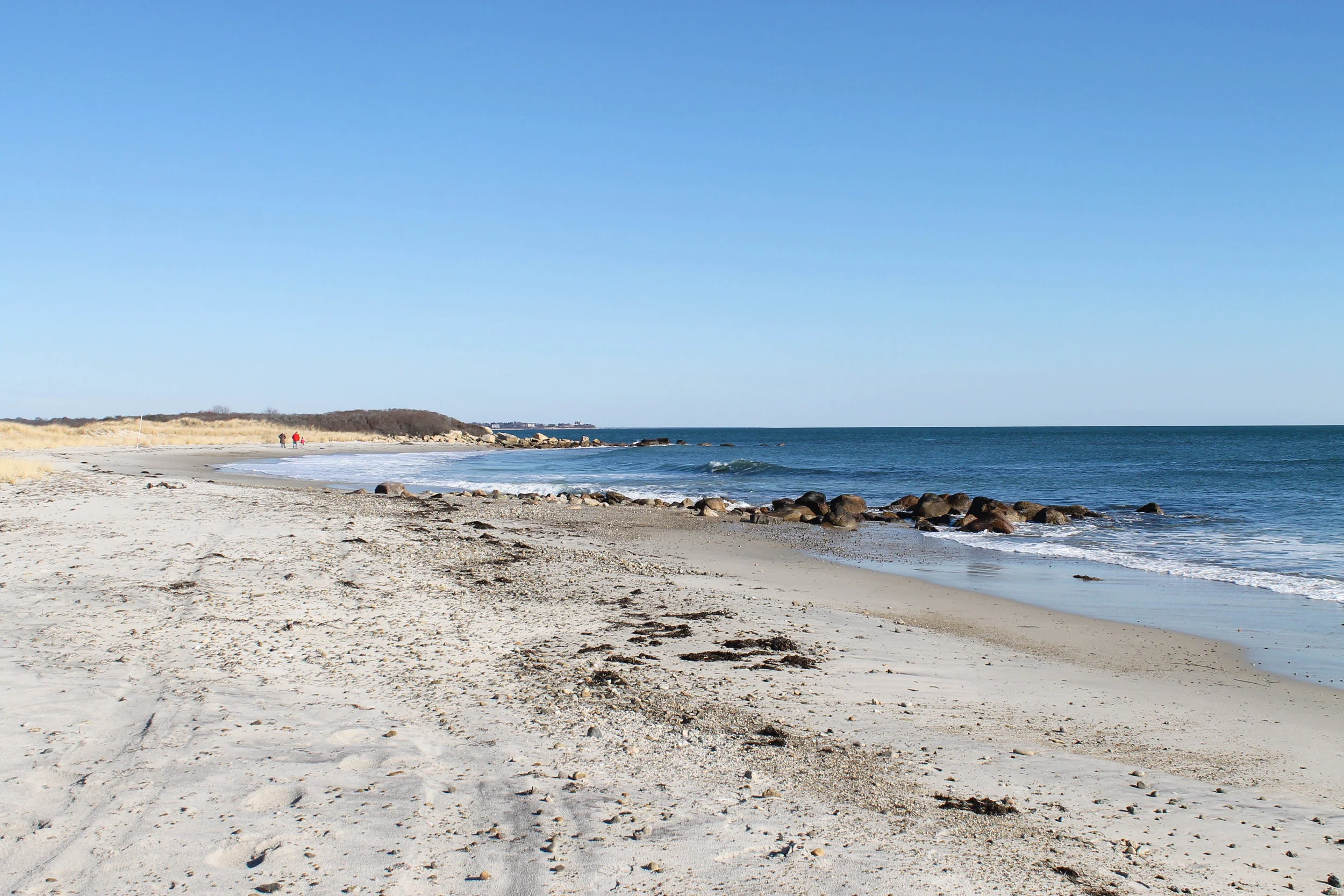 Naushon Island — BLOG — RACHEL KING