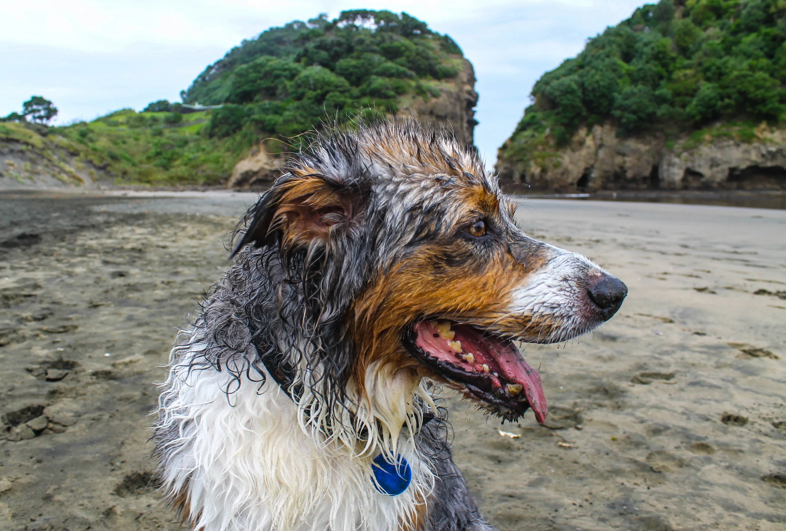 Beach afternoon at O'Neills Bay. 