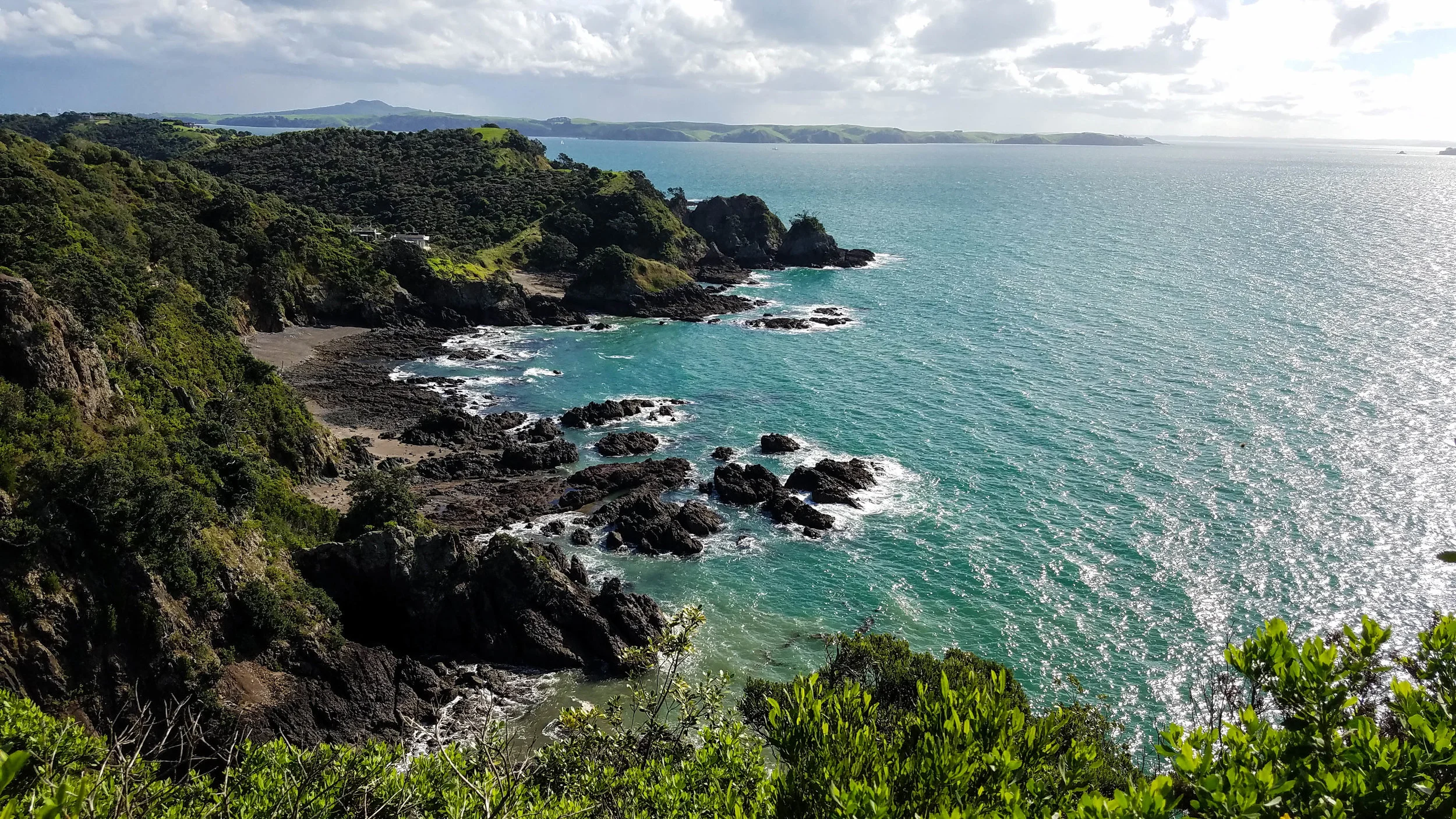 waiheke.jpg