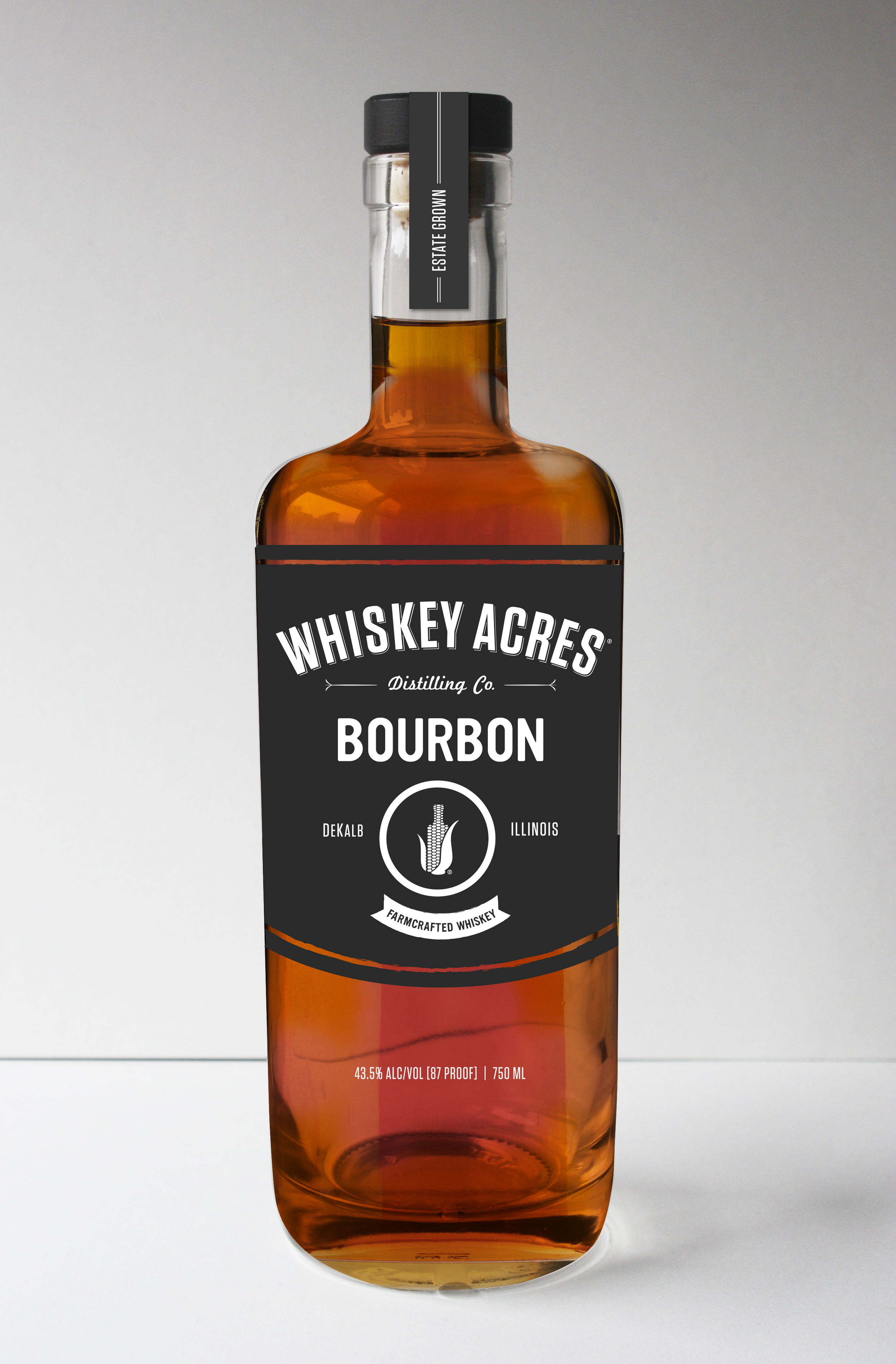 RELEASE PARTY FRIDAY, JUNE 3RD!