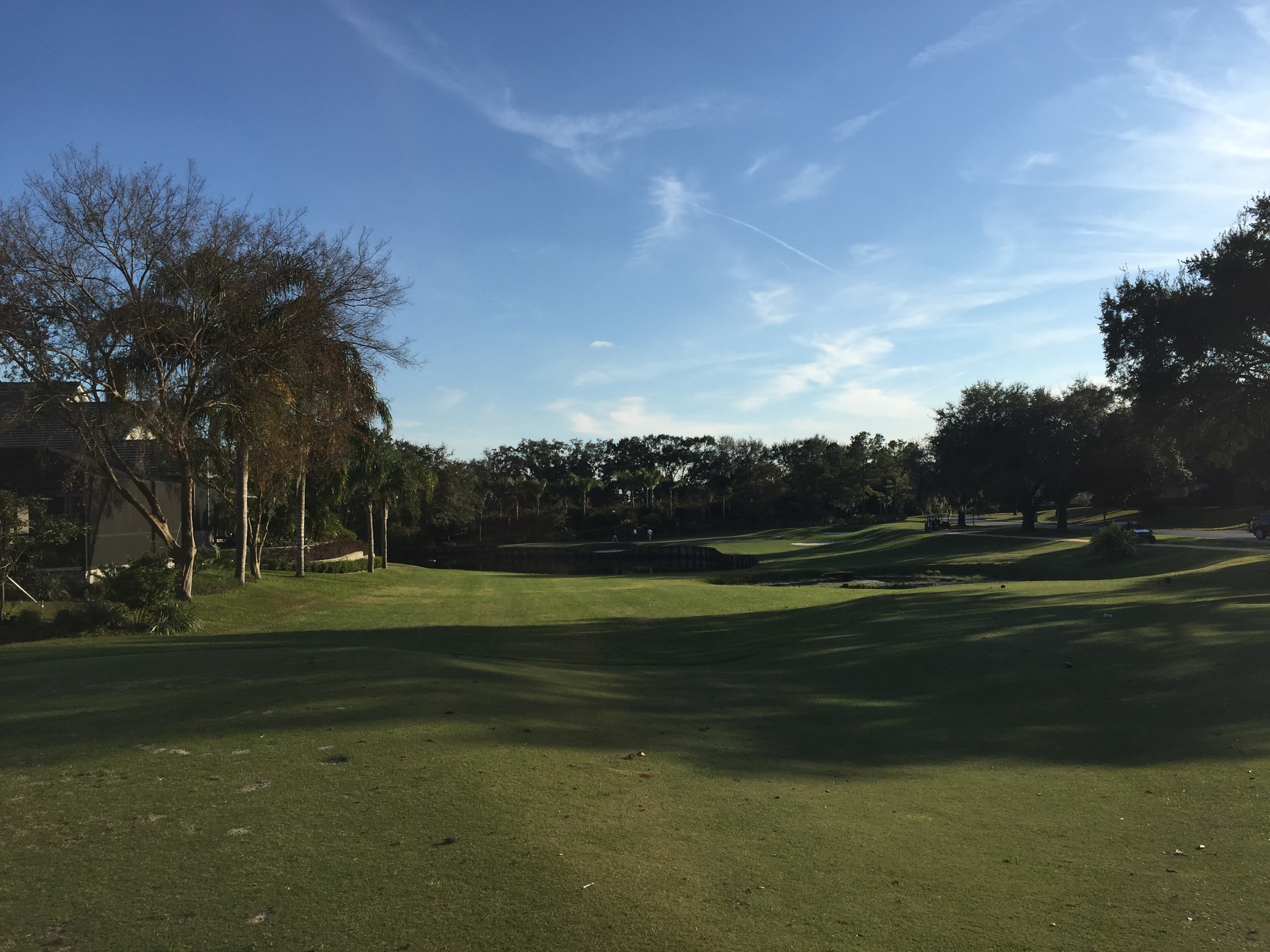 2016-01-25 16.31.31.jpg