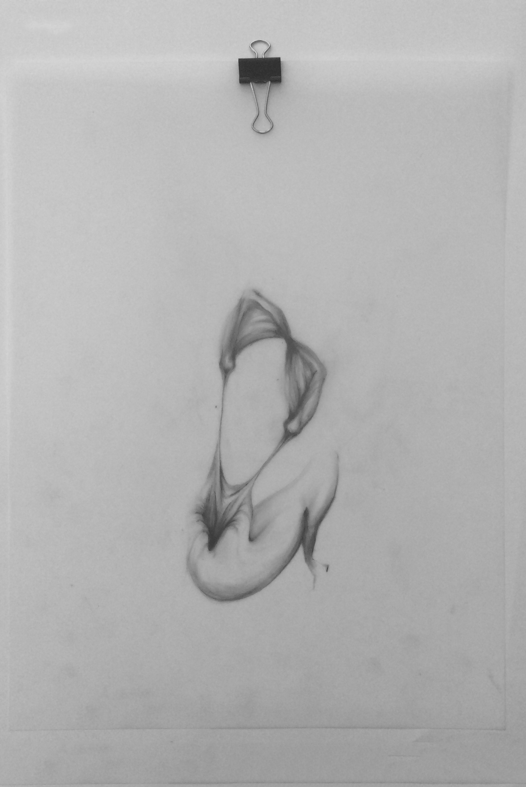 Body 01, graphite on mylar, 9" x 12"