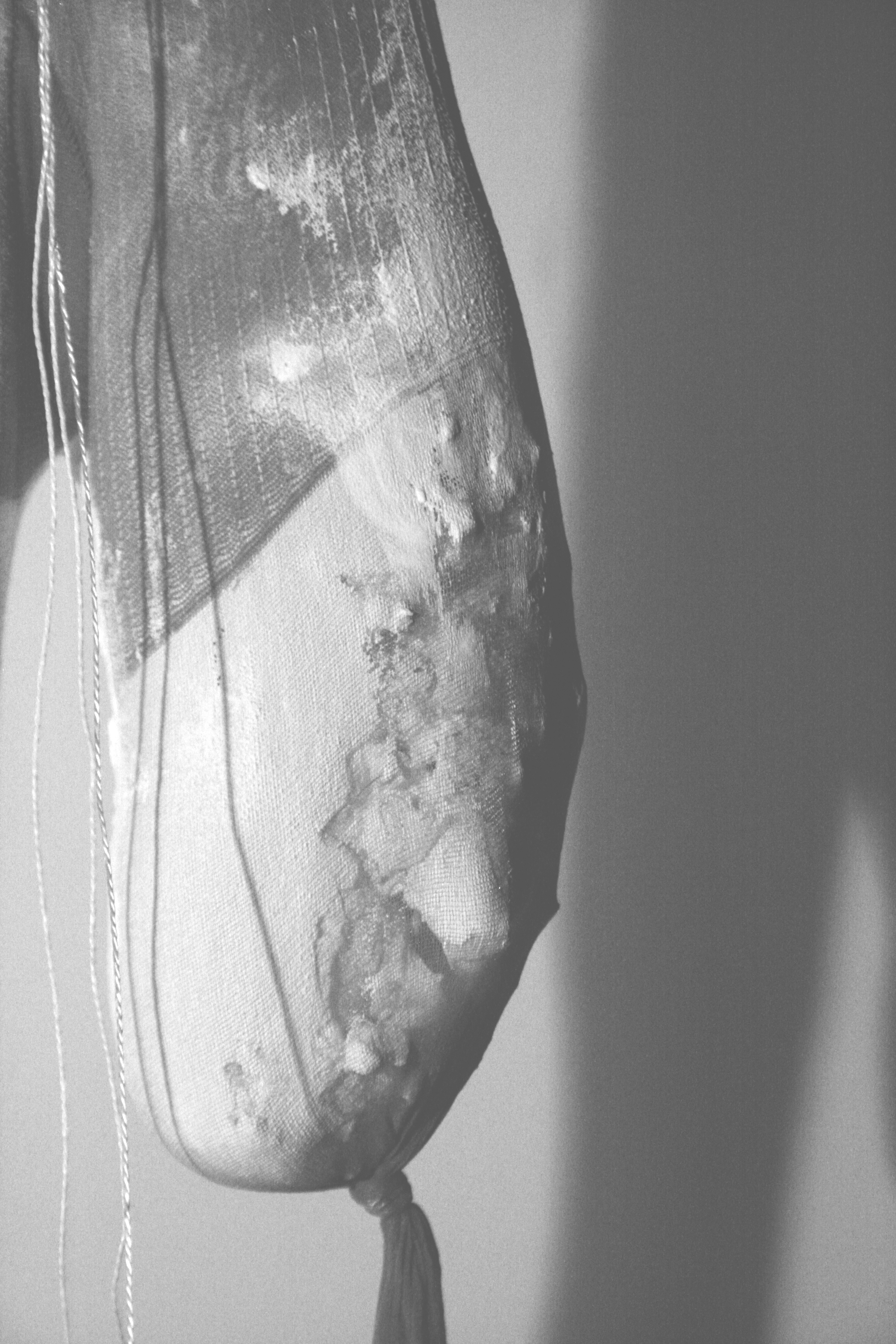 Experiment 1.3, detail, plaster and pantyhose