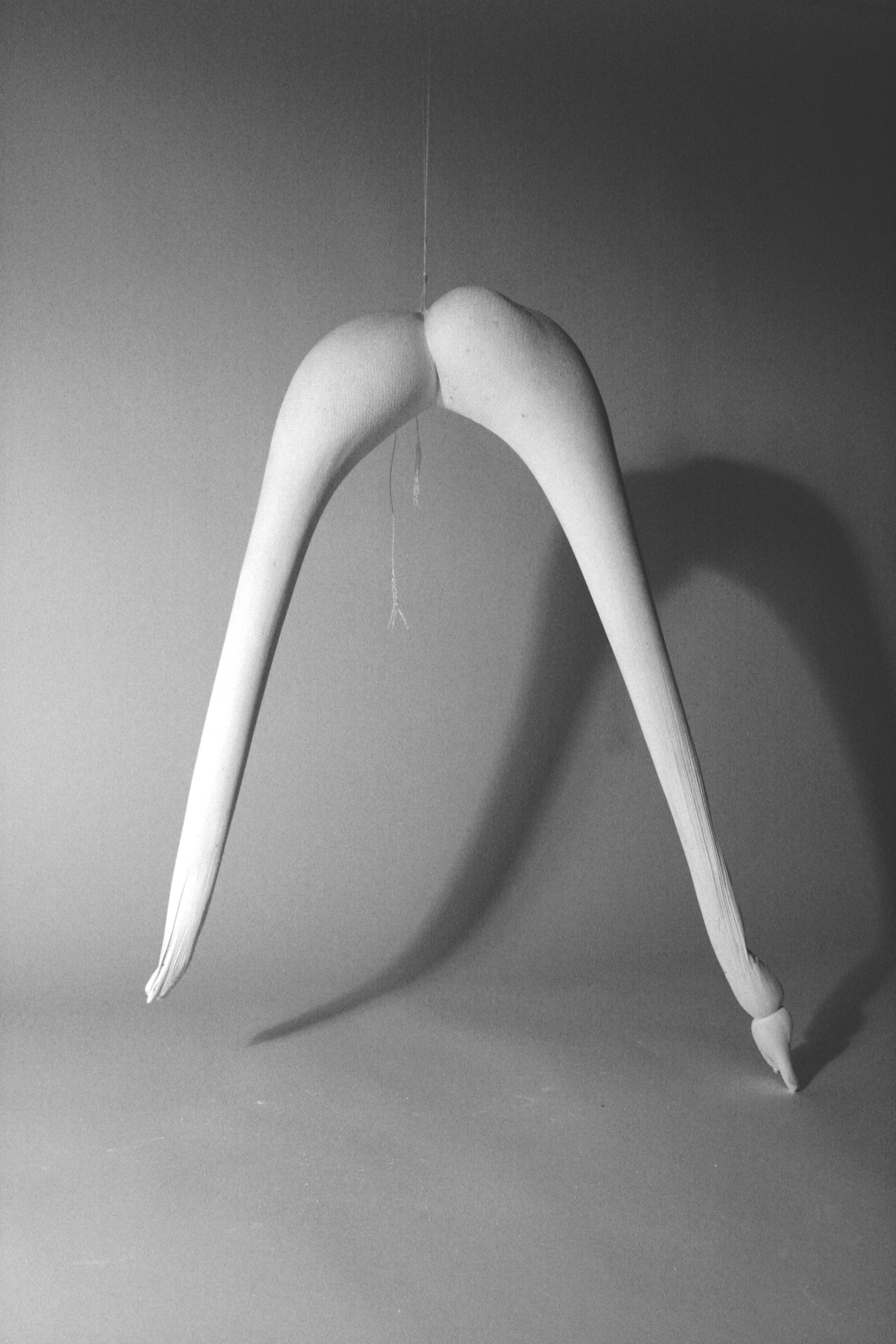 Arch 1, plaster