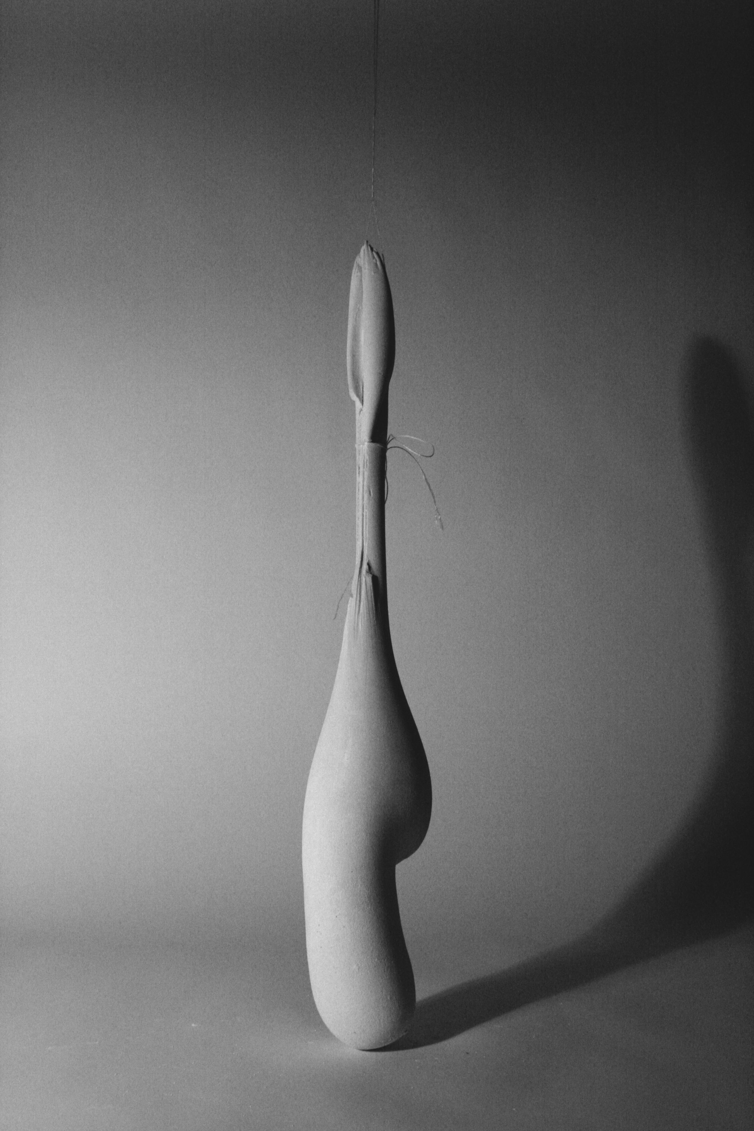 Flacid column 2, plaster