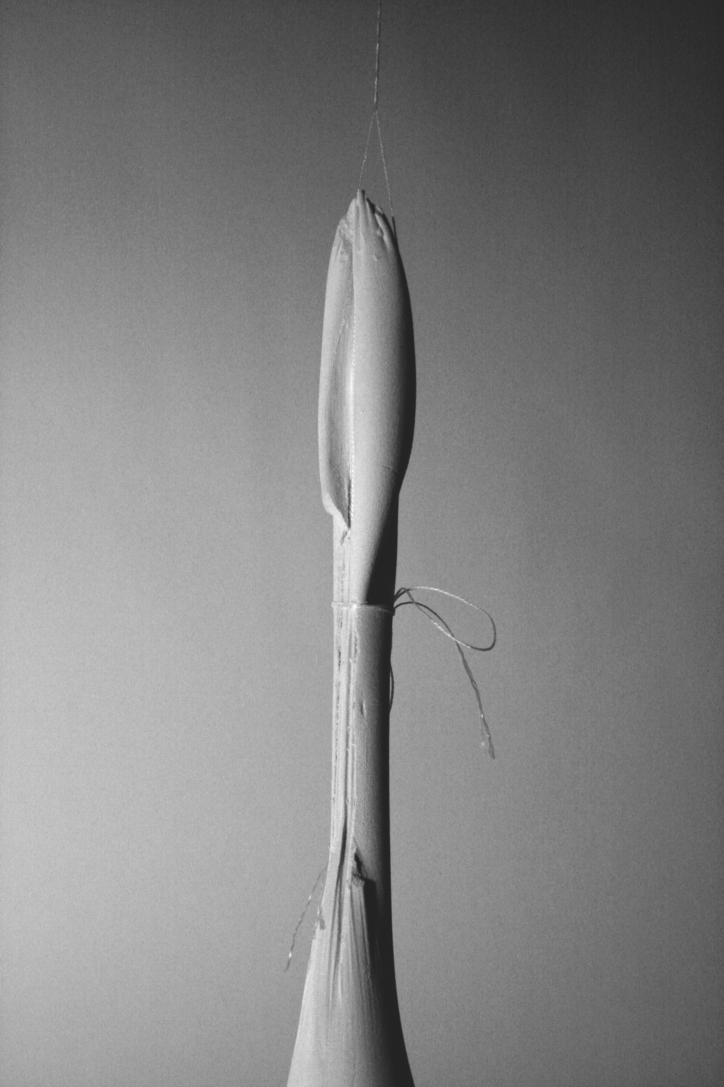 Flacid column 2, plaster