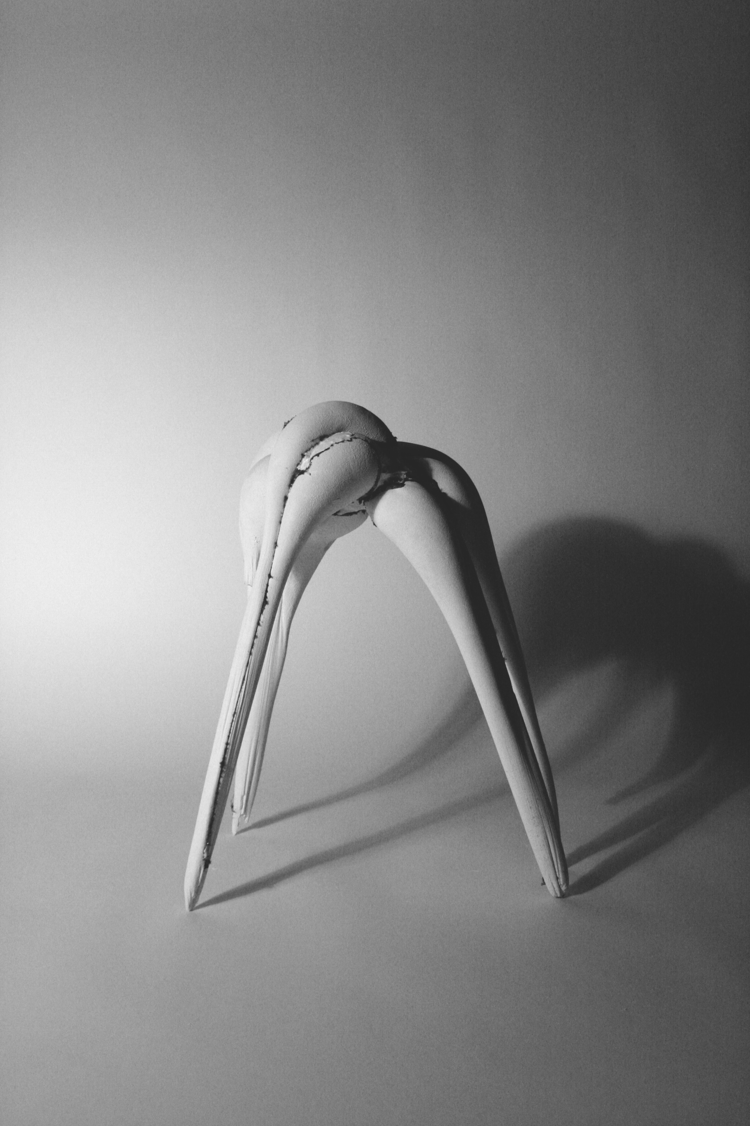 Vault 2, plaster and pantyhose